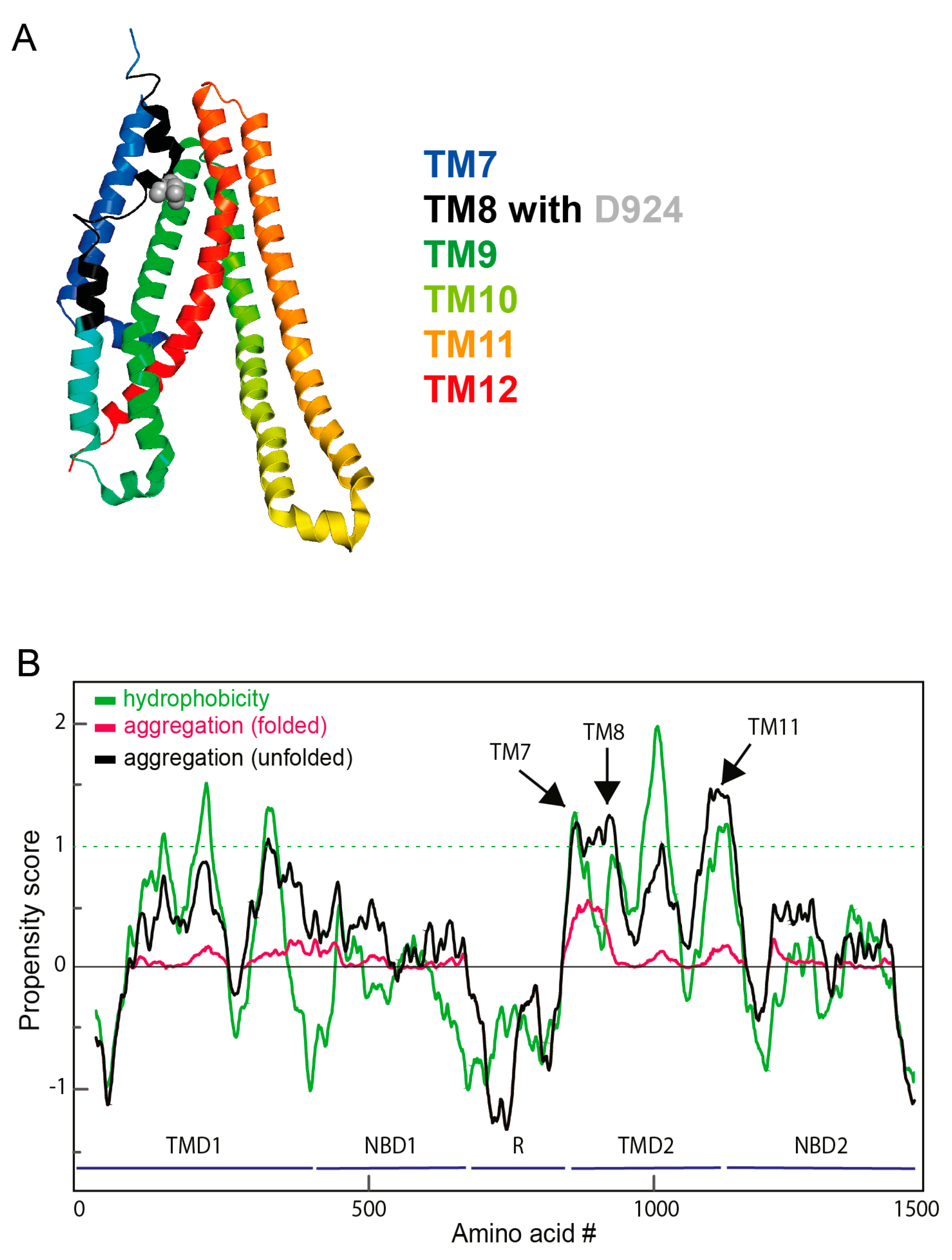Ijms 24 15741 g005 Ijms 24 15741 g005