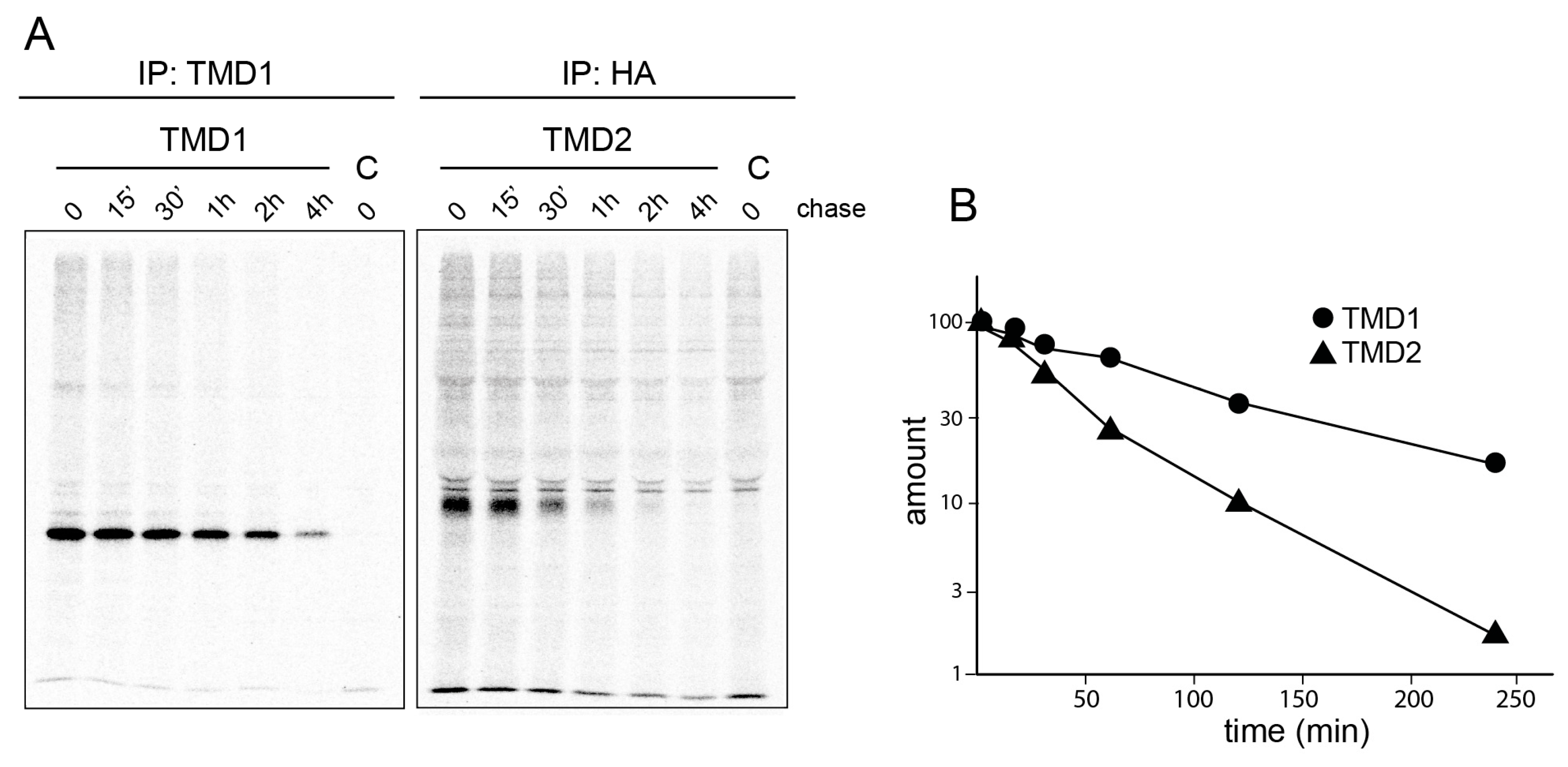 Ijms 24 15741 g006 Ijms 24 15741 g006