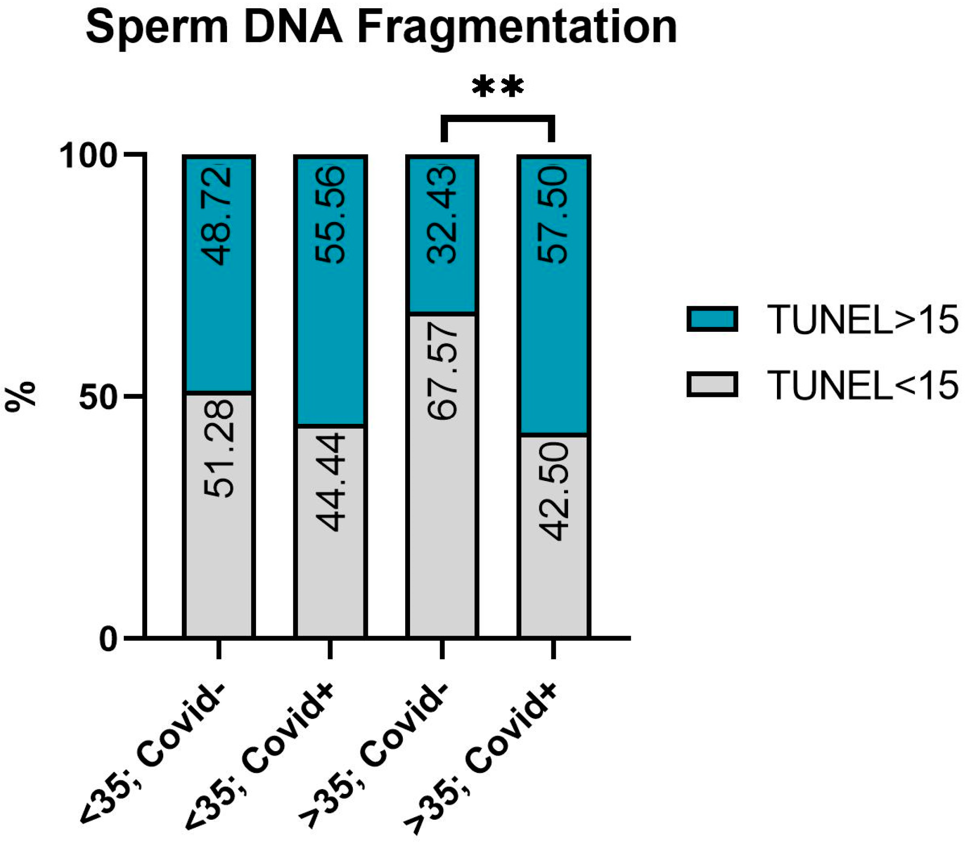 Ijms 24 15742 g001 Ijms 24 15742 g001