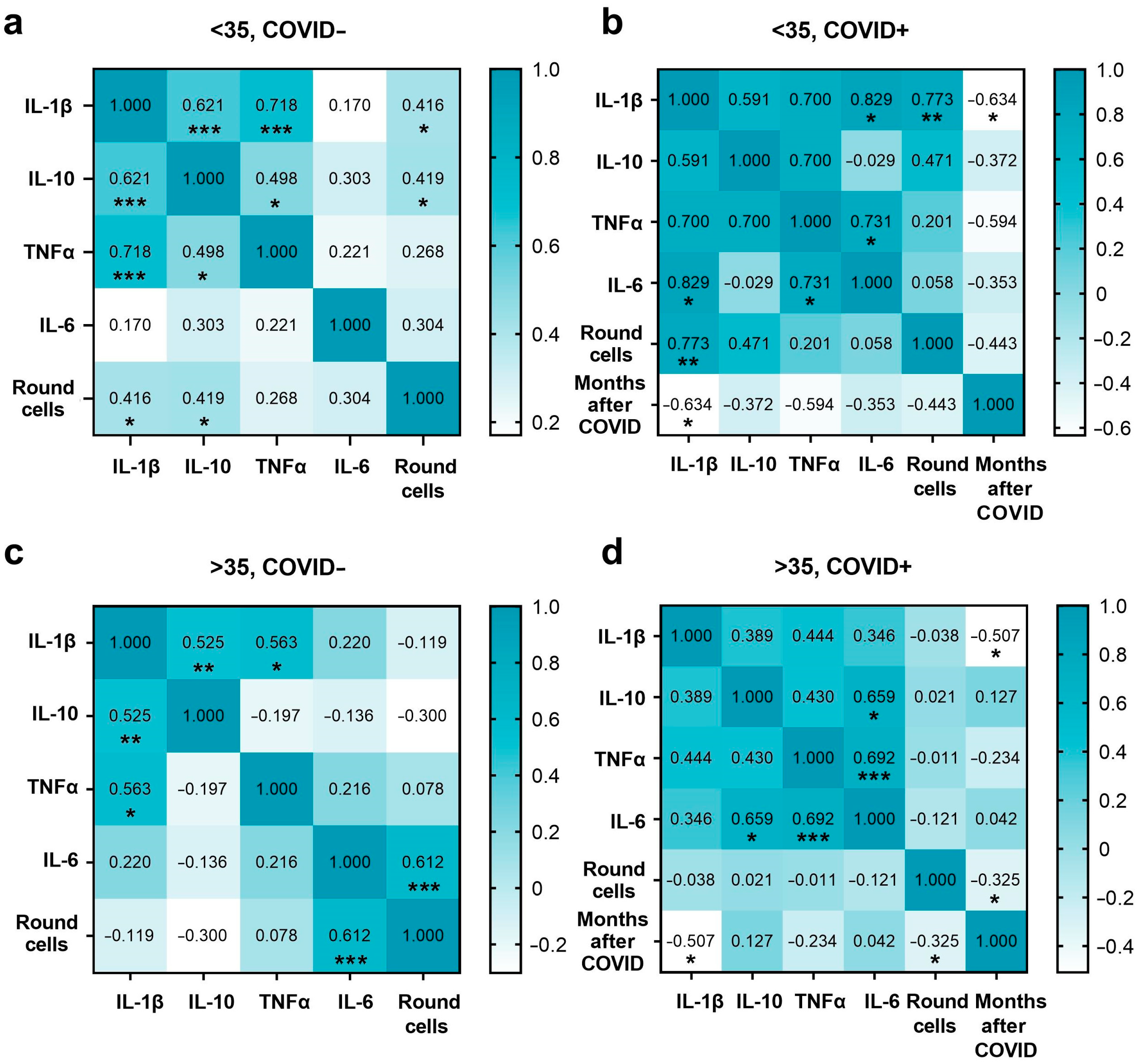 Ijms 24 15742 g004 Ijms 24 15742 g004