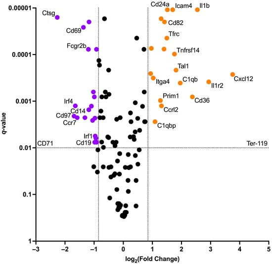 IJMS | Free Full-Text | Murine Bone Marrow Erythroid Cells Have Two ...