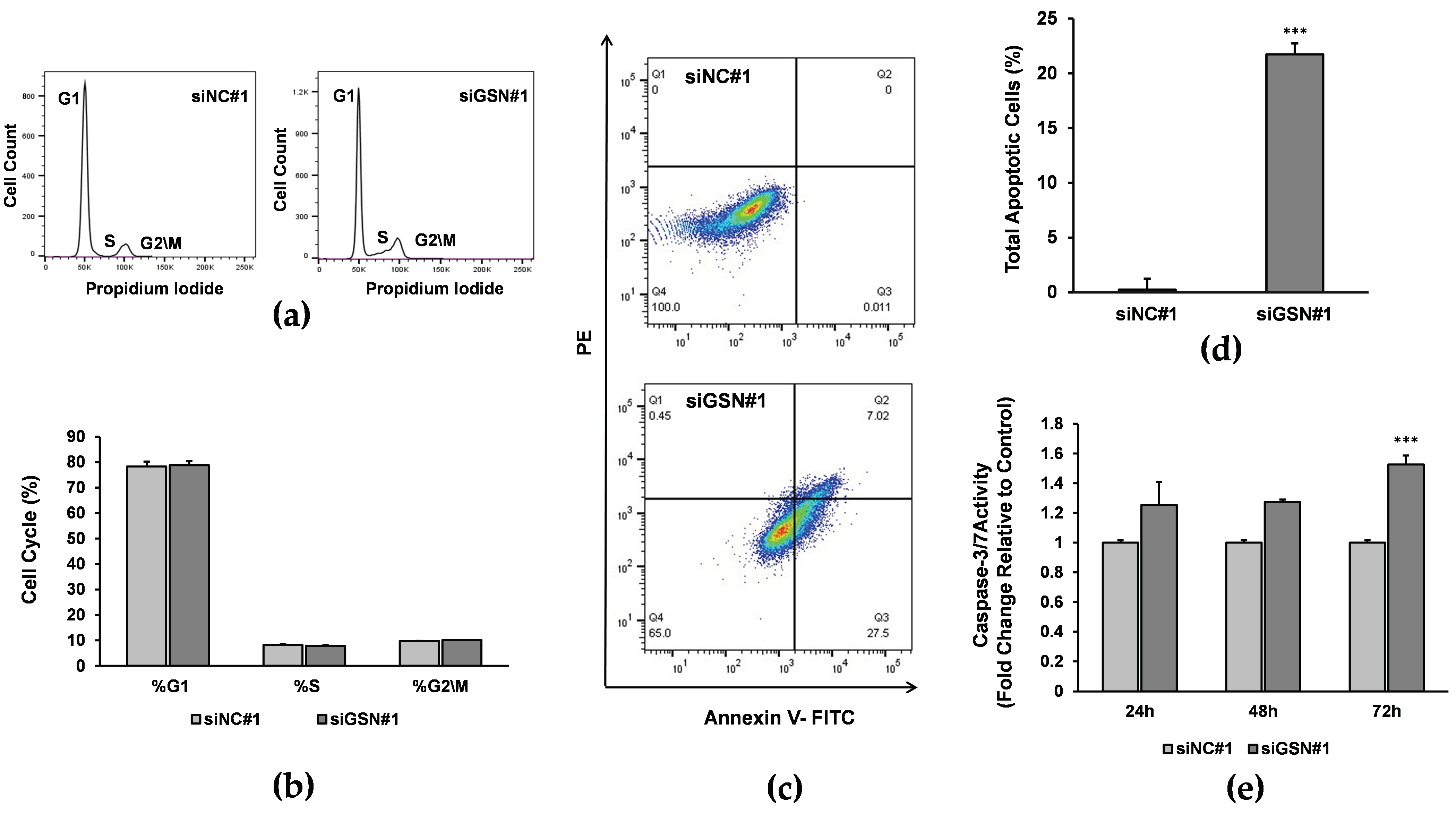 Ijms 24 15763 g004 Ijms 24 15763 g004