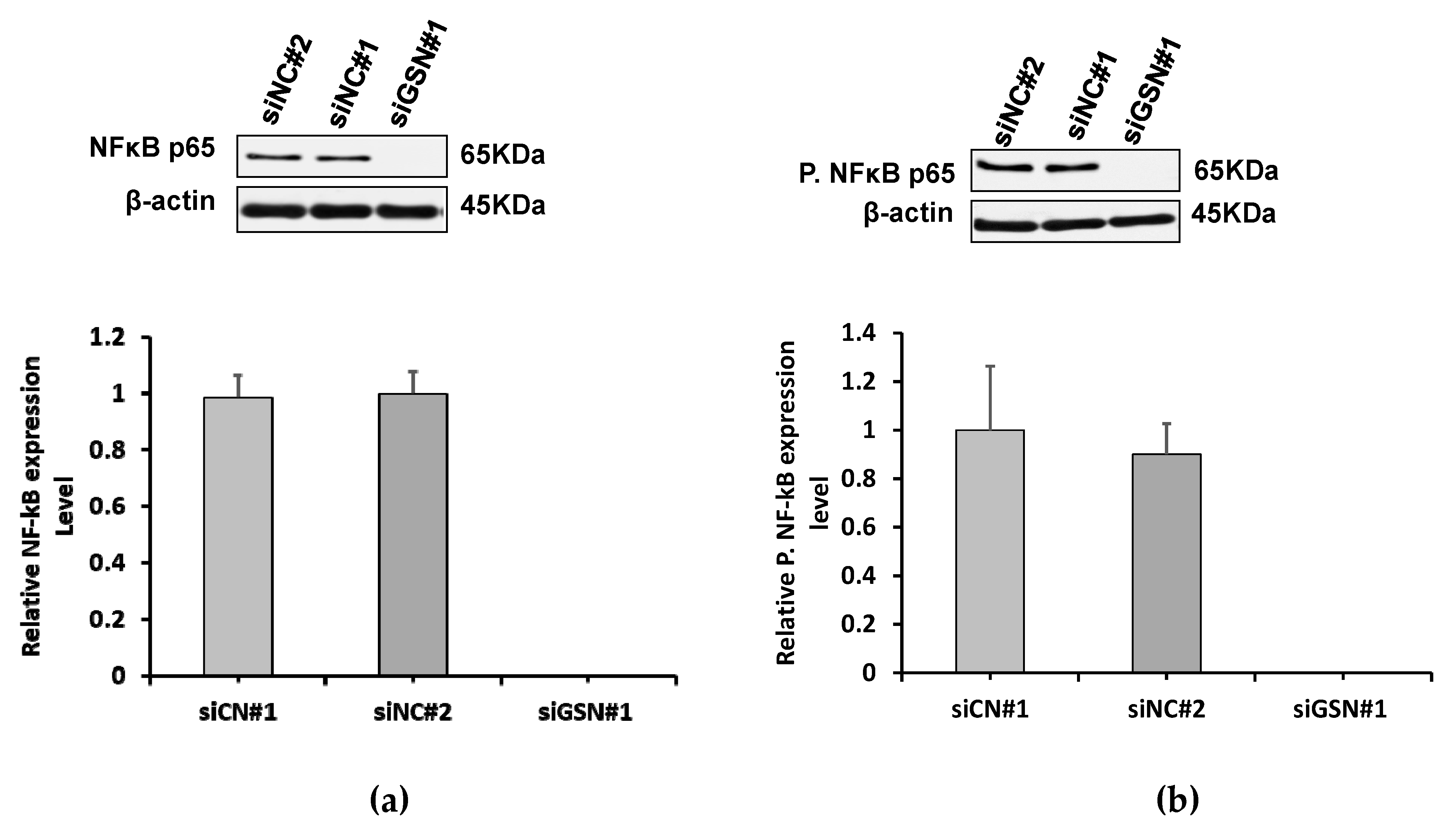 Ijms 24 15763 g005 Ijms 24 15763 g005