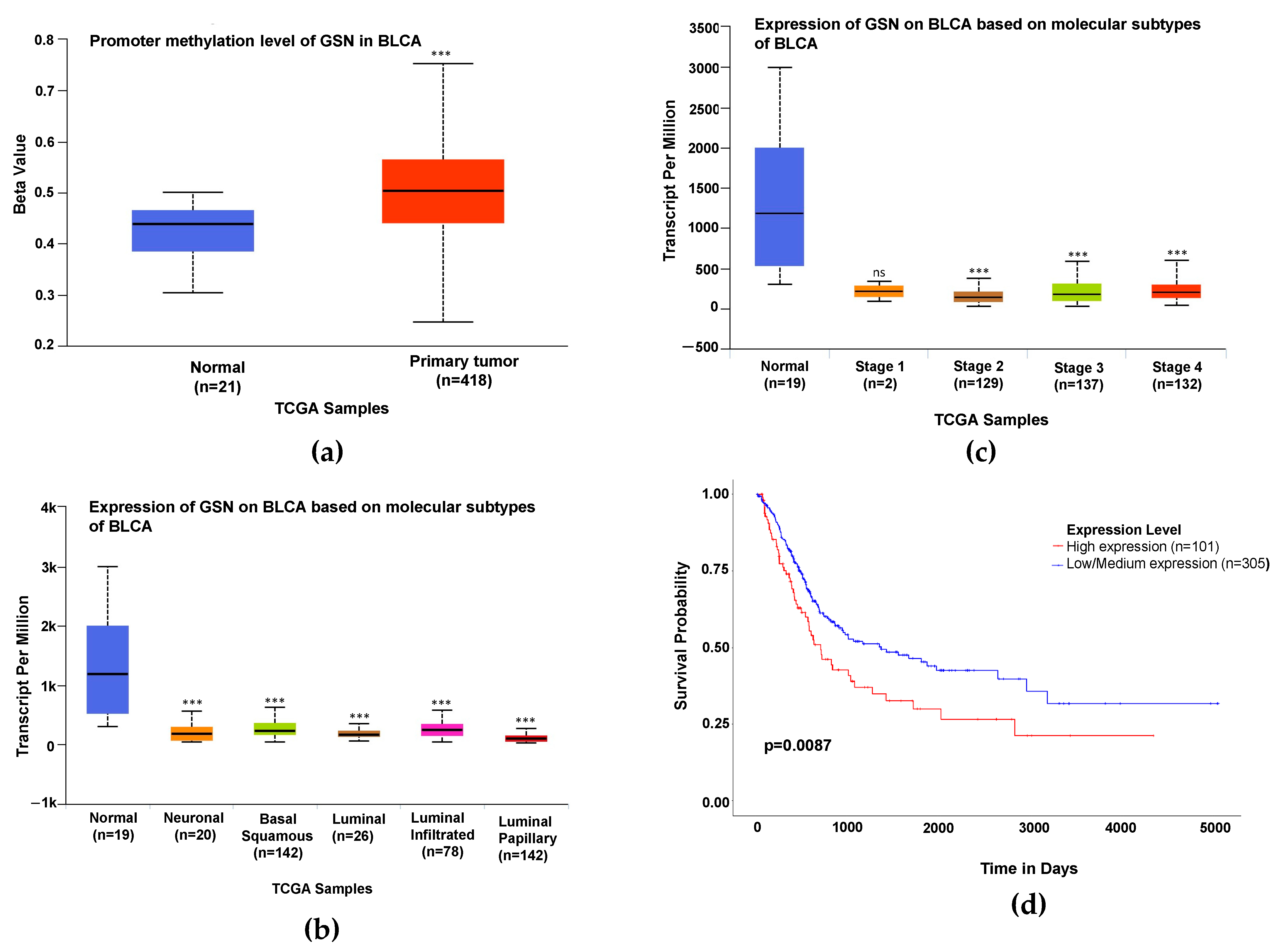 Ijms 24 15763 g007 Ijms 24 15763 g007