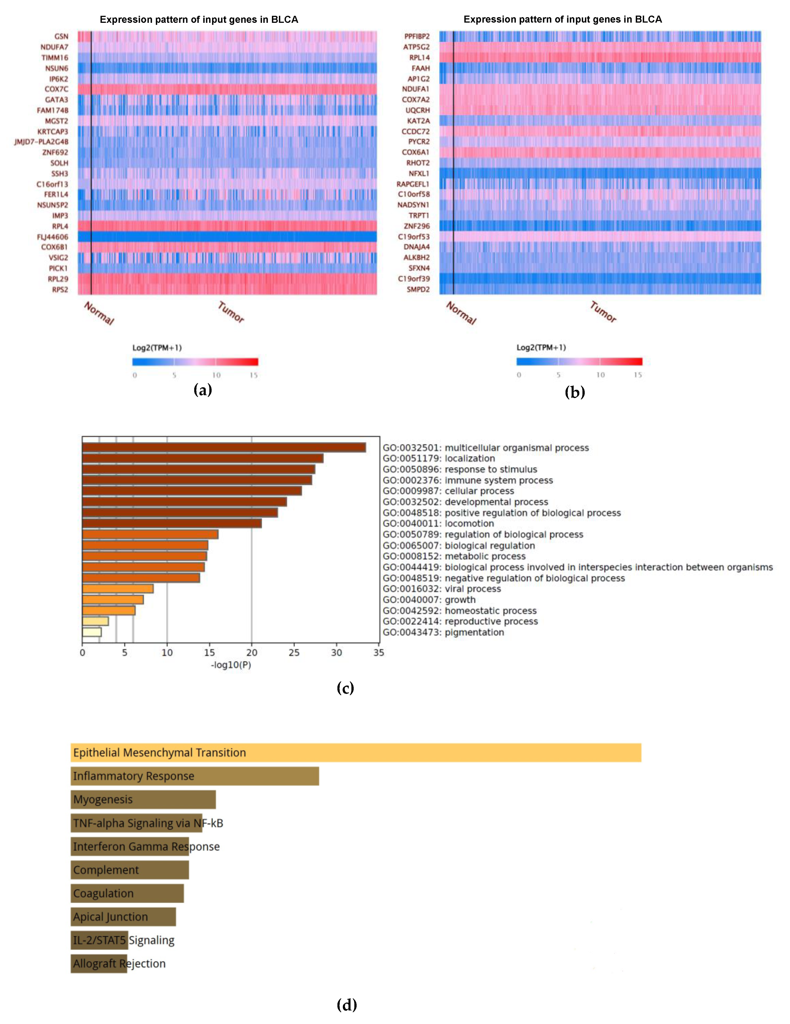 Ijms 24 15763 g008a Ijms 24 15763 g008a