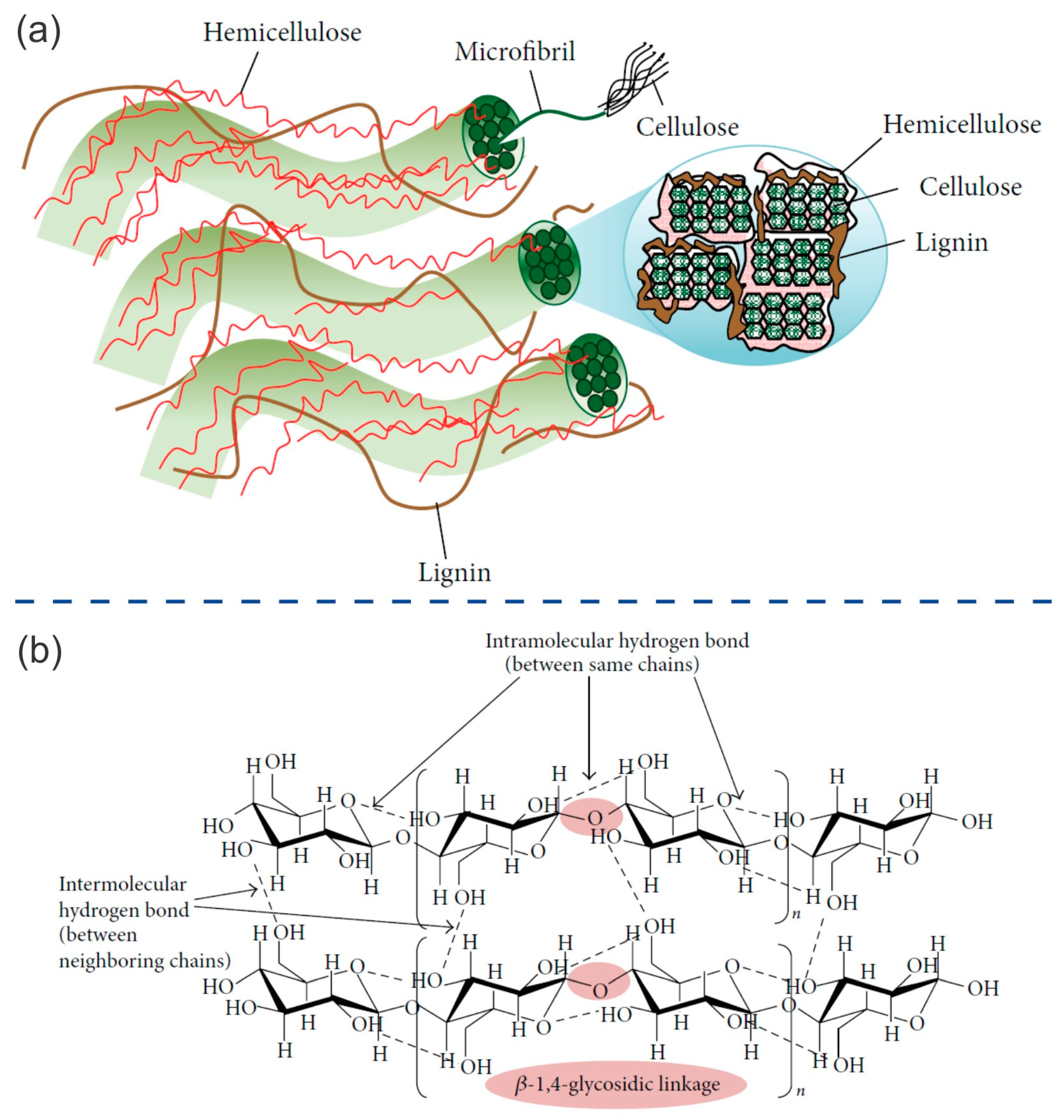 https://www.mdpi.com/ijms/ijms-24-15784/article_deploy/html/images/ijms-24-15784-g001.png