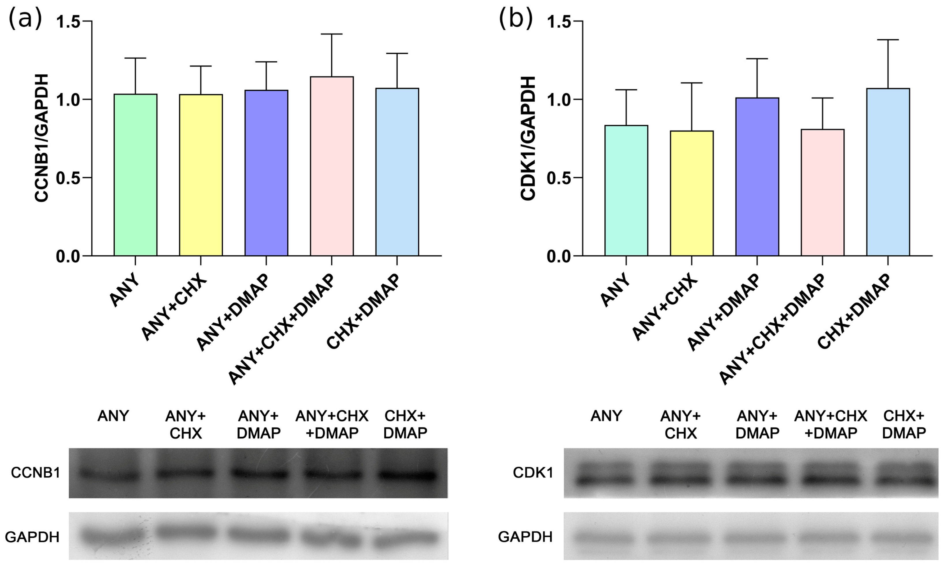 https://www.mdpi.com/ijms/ijms-24-15794/article_deploy/html/images/ijms-24-15794-g001.png