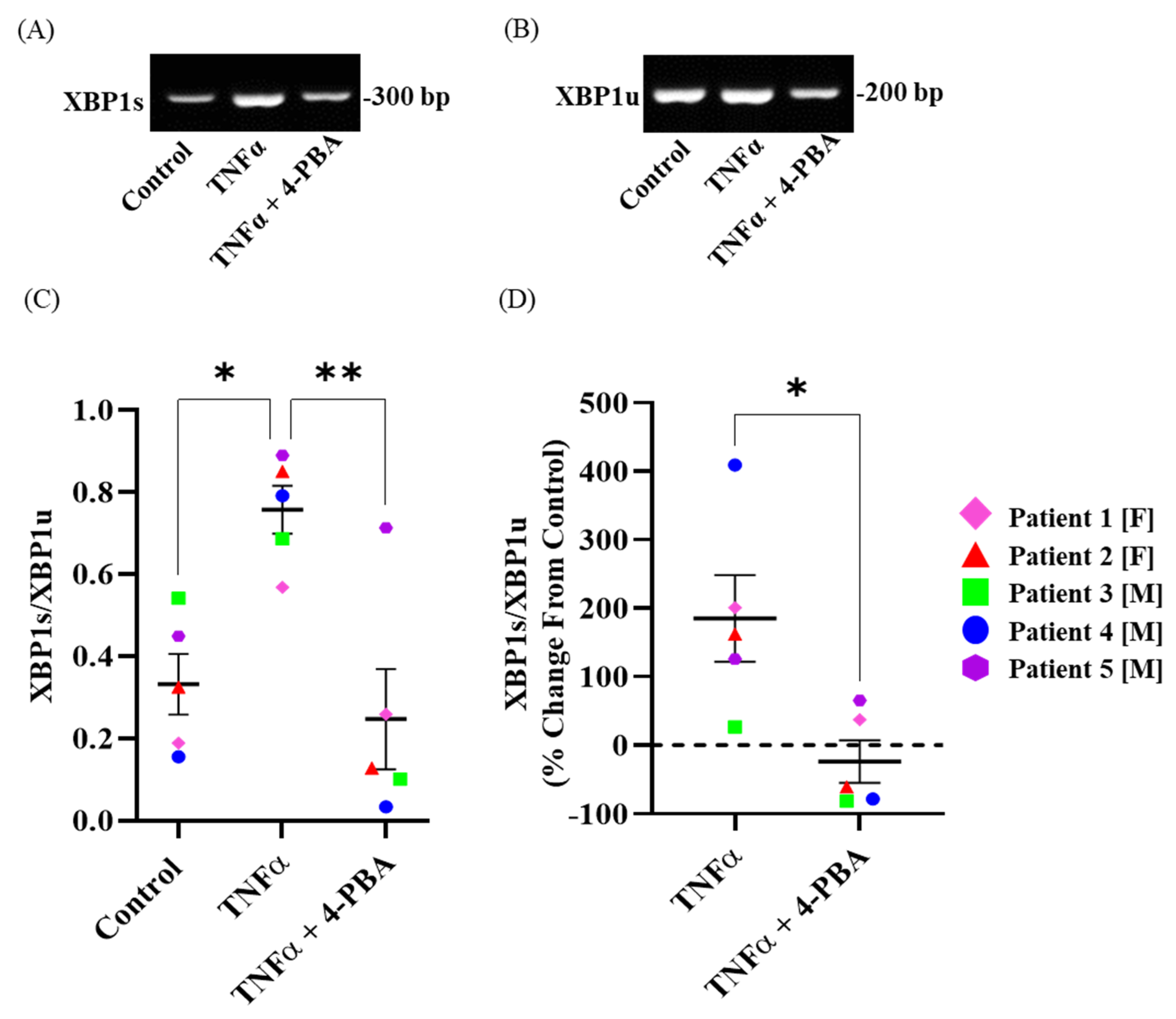 Ijms 24 15816 g003 Ijms 24 15816 g003