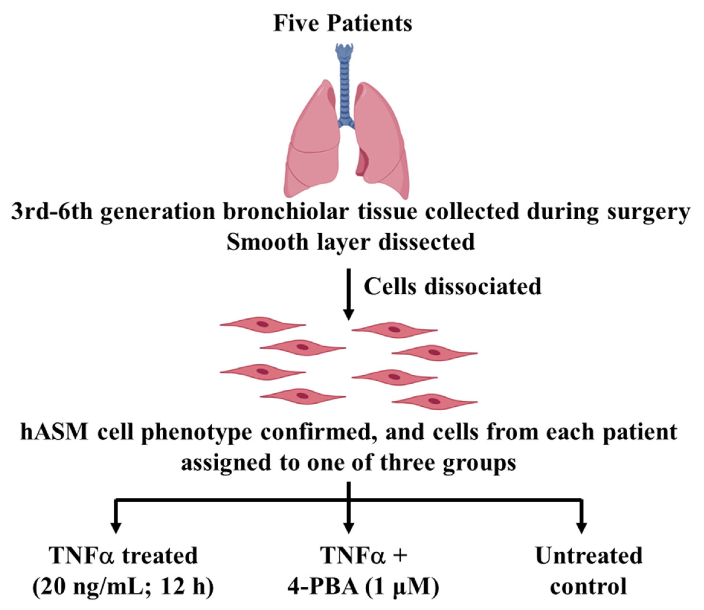 Ijms 24 15816 g004 Ijms 24 15816 g004