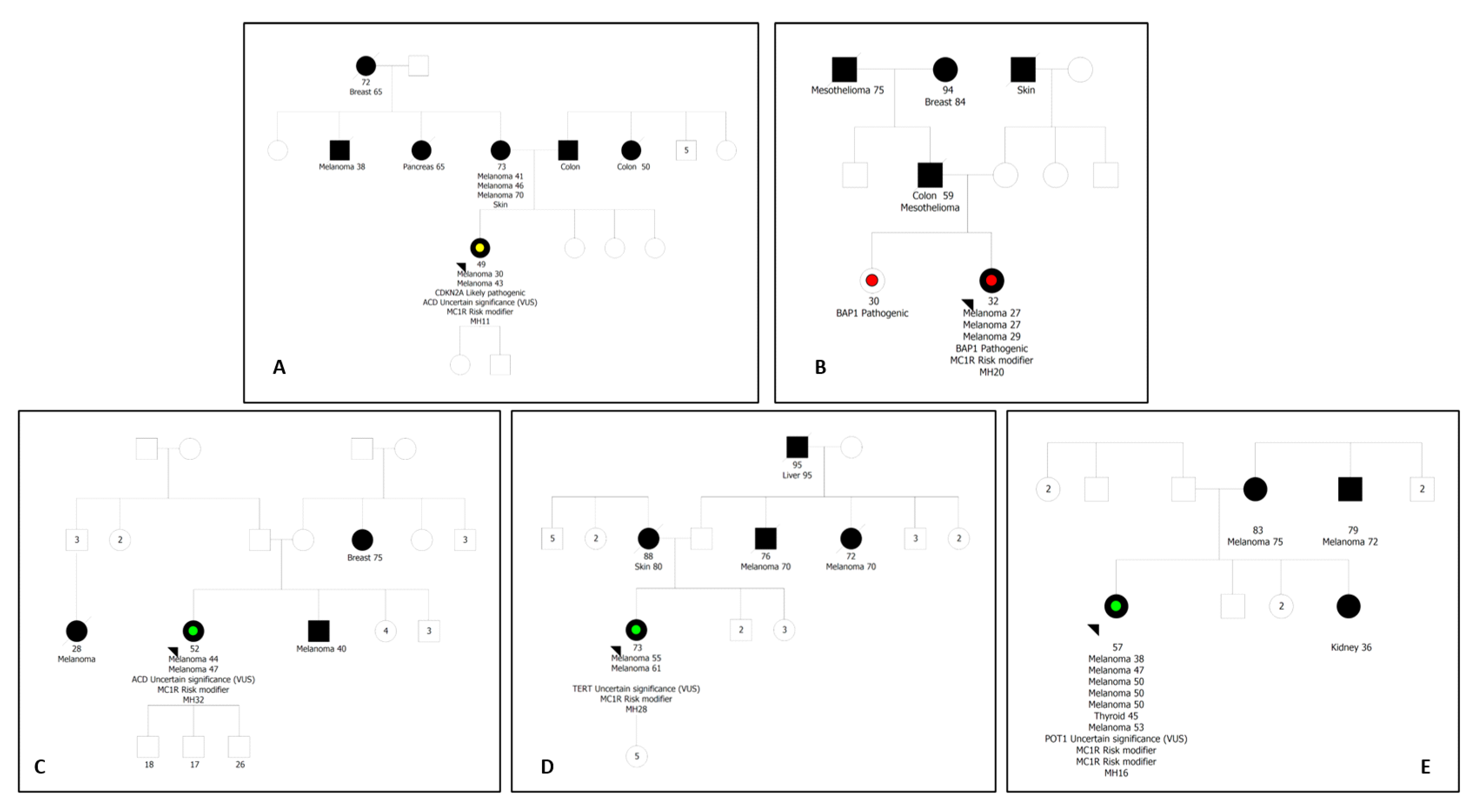 Ijms 24 15830 g001 Ijms 24 15830 g001