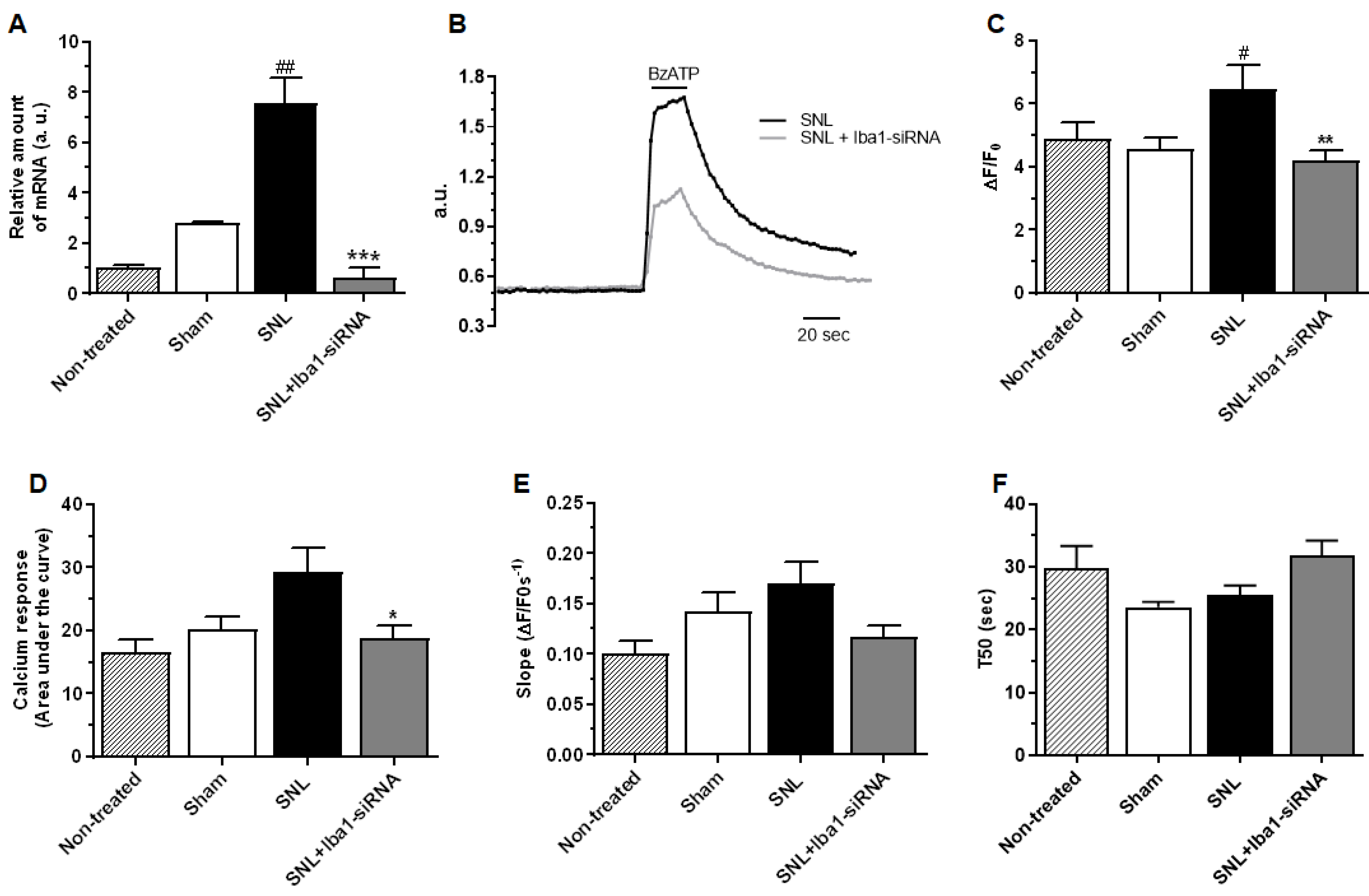 IJMS | Free Full-Text | Switching Rat Resident Macrophages from M1 to ...