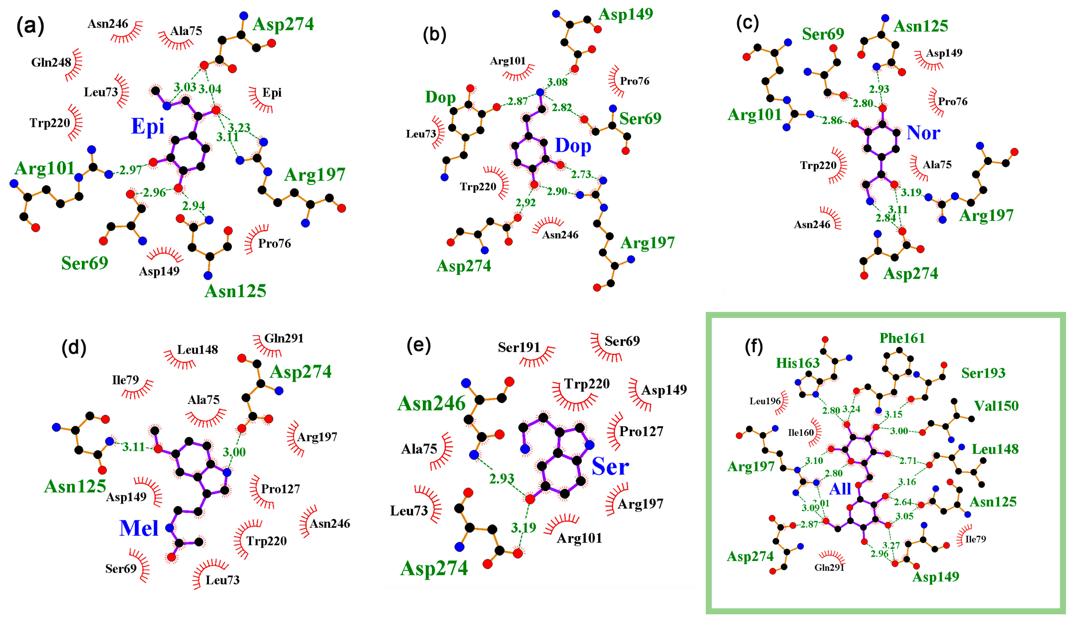 Ijms 24 15863 g002 Ijms 24 15863 g002