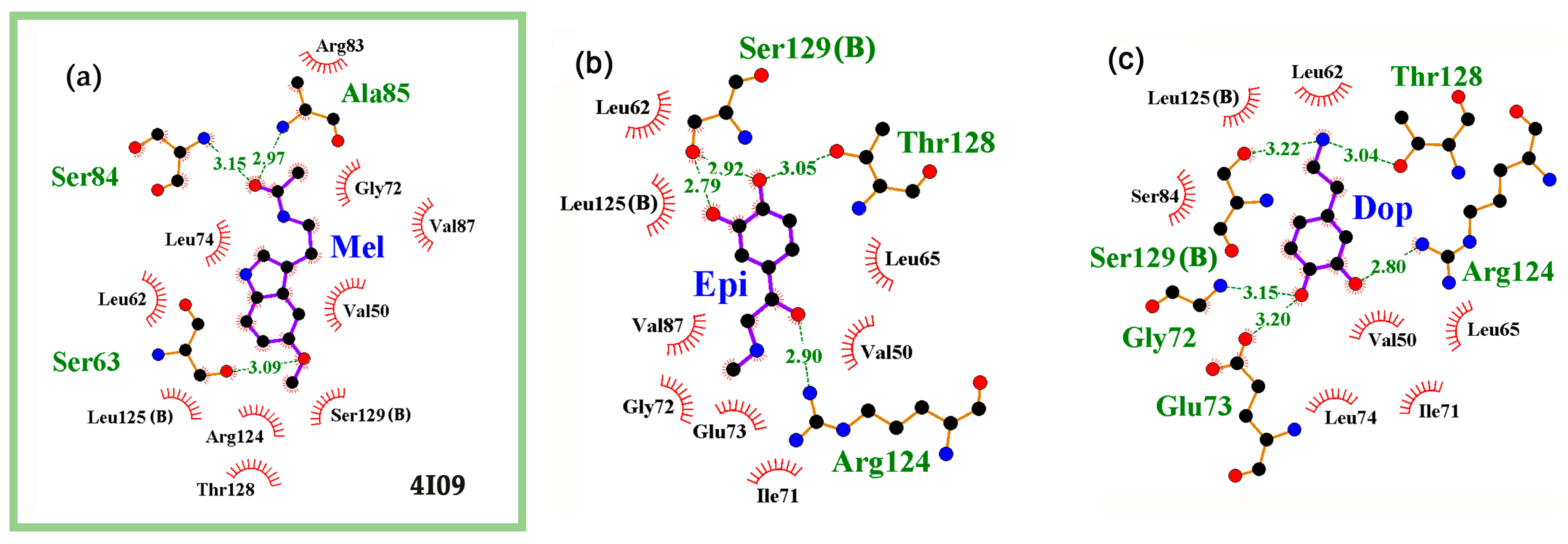 Ijms 24 15863 g004a Ijms 24 15863 g004a