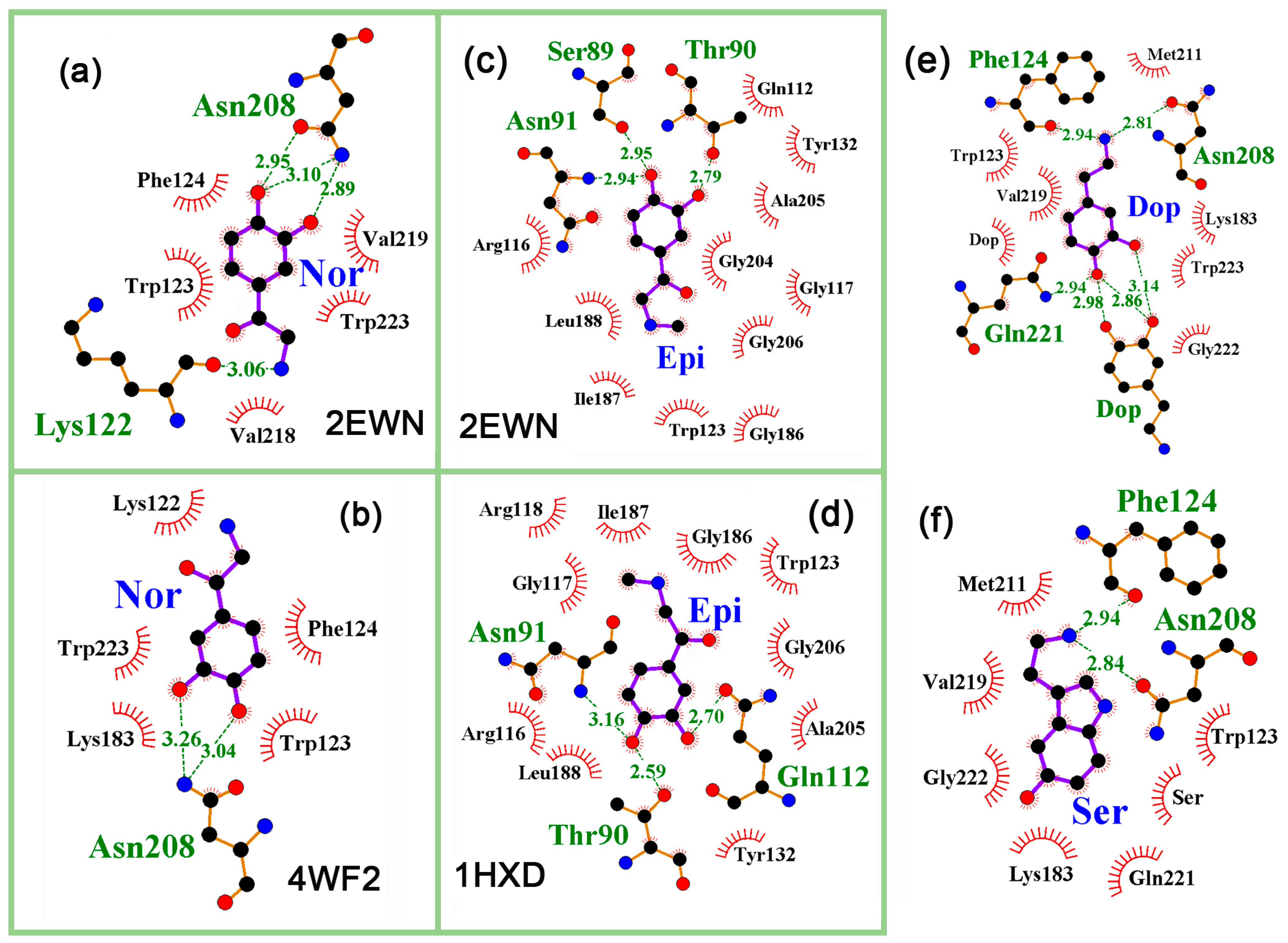 Ijms 24 15863 g008 Ijms 24 15863 g008