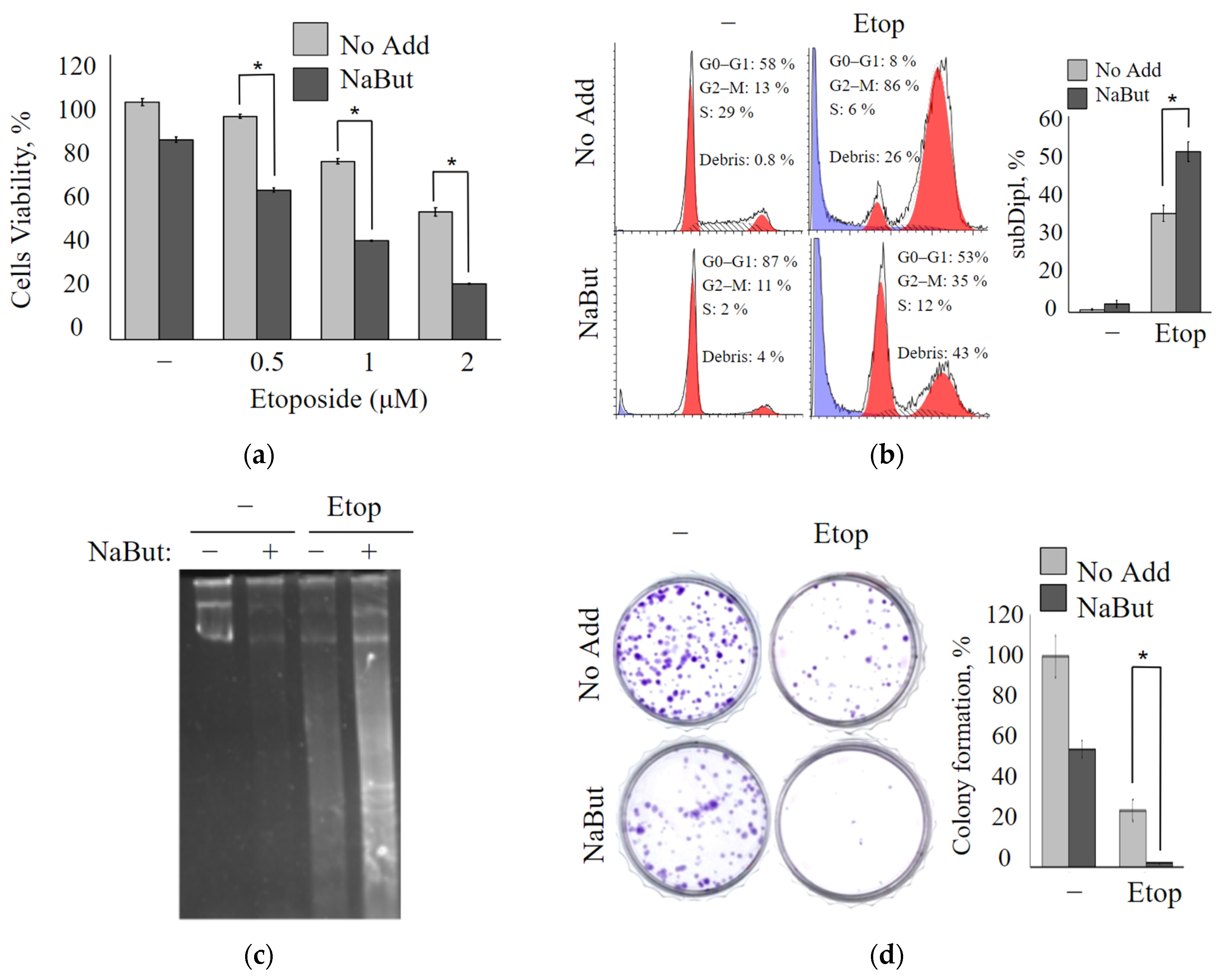 IJMS | Free Full-Text | Sodium Butyrate Enhances the Cytotoxic Effect of  Etoposide in HDACi-Sensitive and HDACi-Resistant Transformed Cells