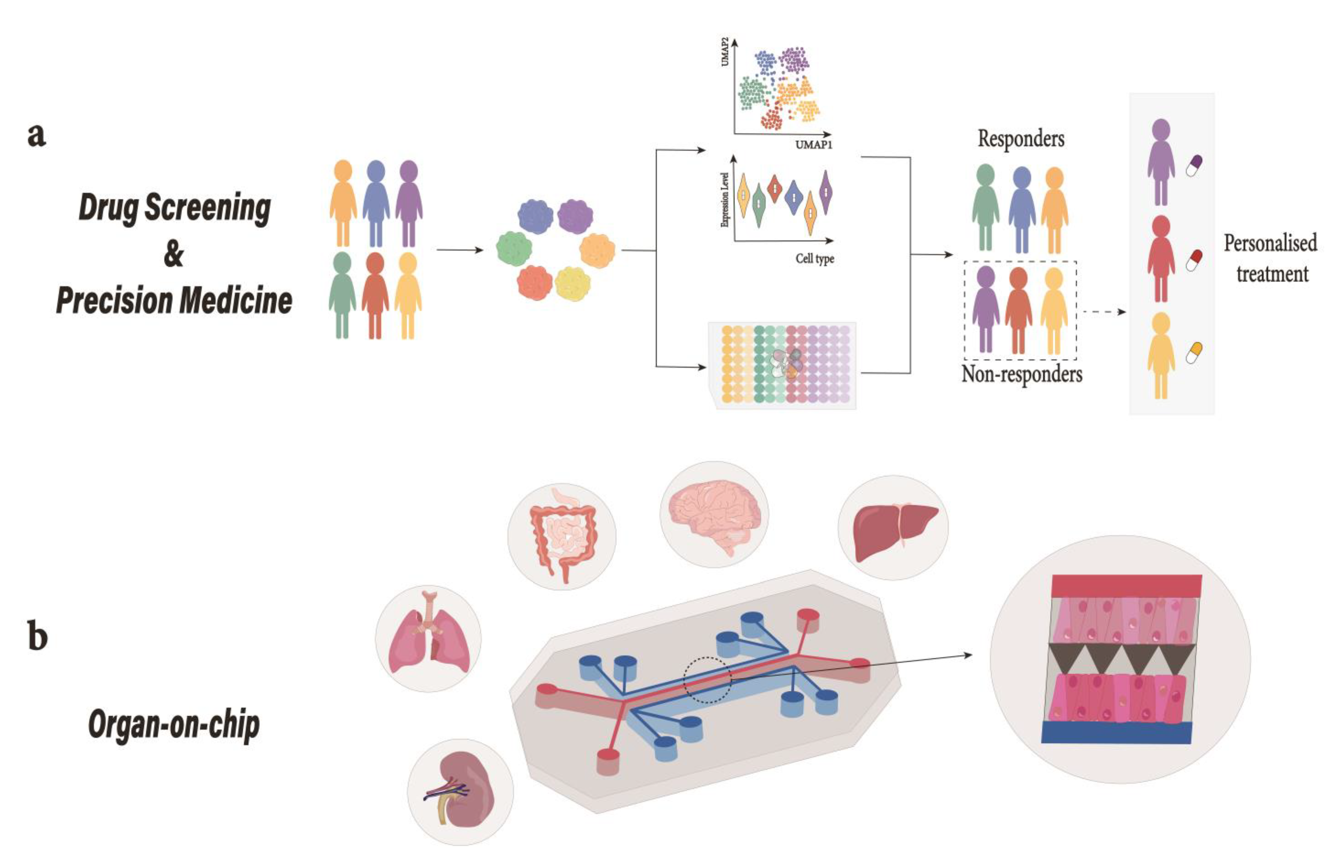 Ijms 24 15921 g004 Ijms 24 15921 g004