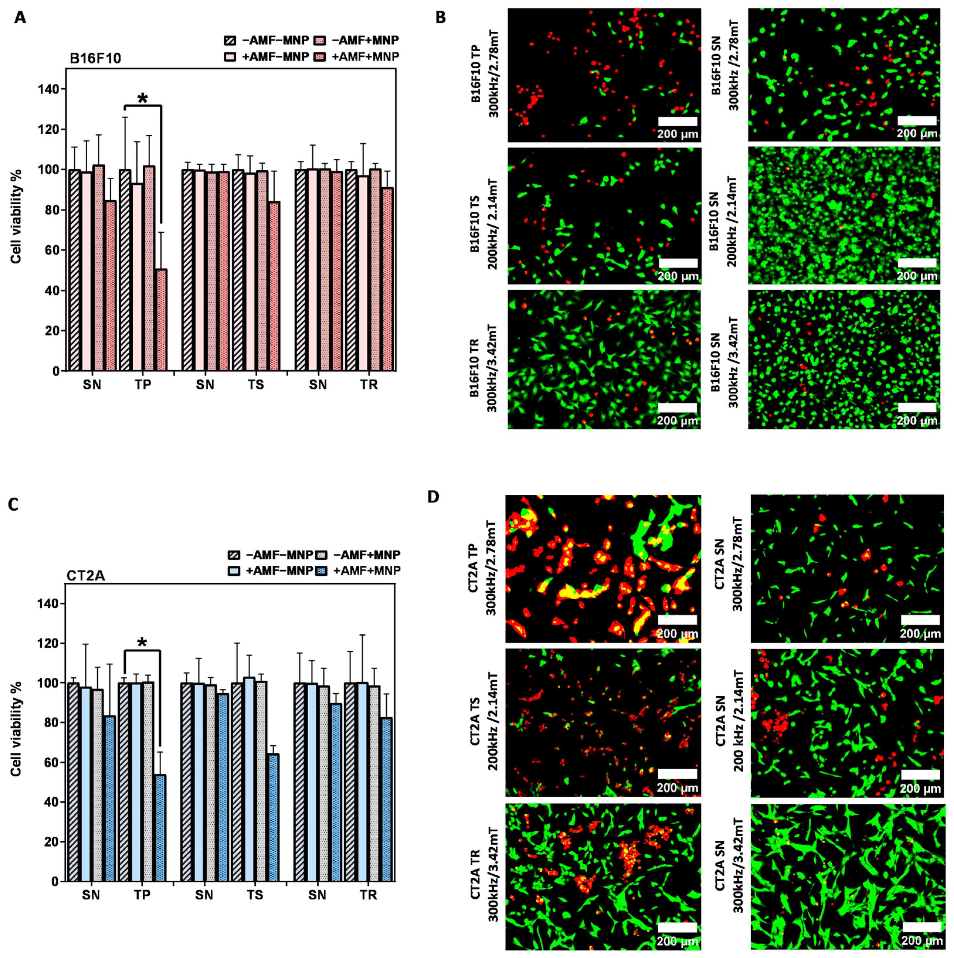 Ijms 24 15933 g006 Ijms 24 15933 g006