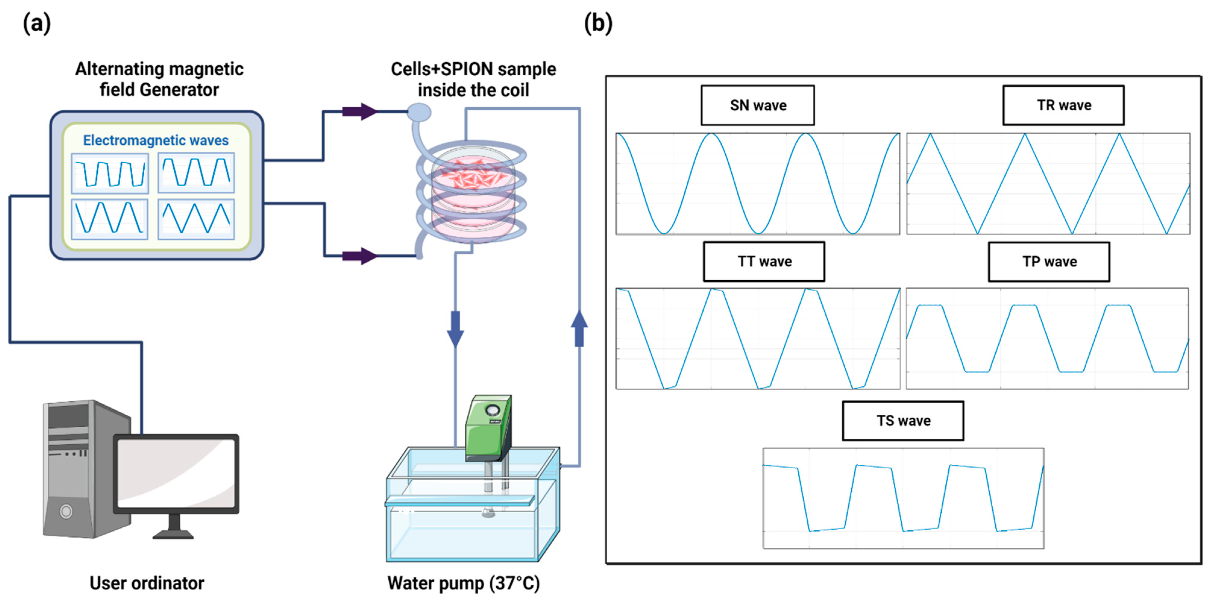Ijms 24 15933 g008 Ijms 24 15933 g008