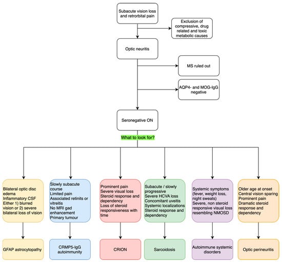 IJMS | Free Full-Text | Beyond Myelin Oligodendrocyte Glycoprotein and ...