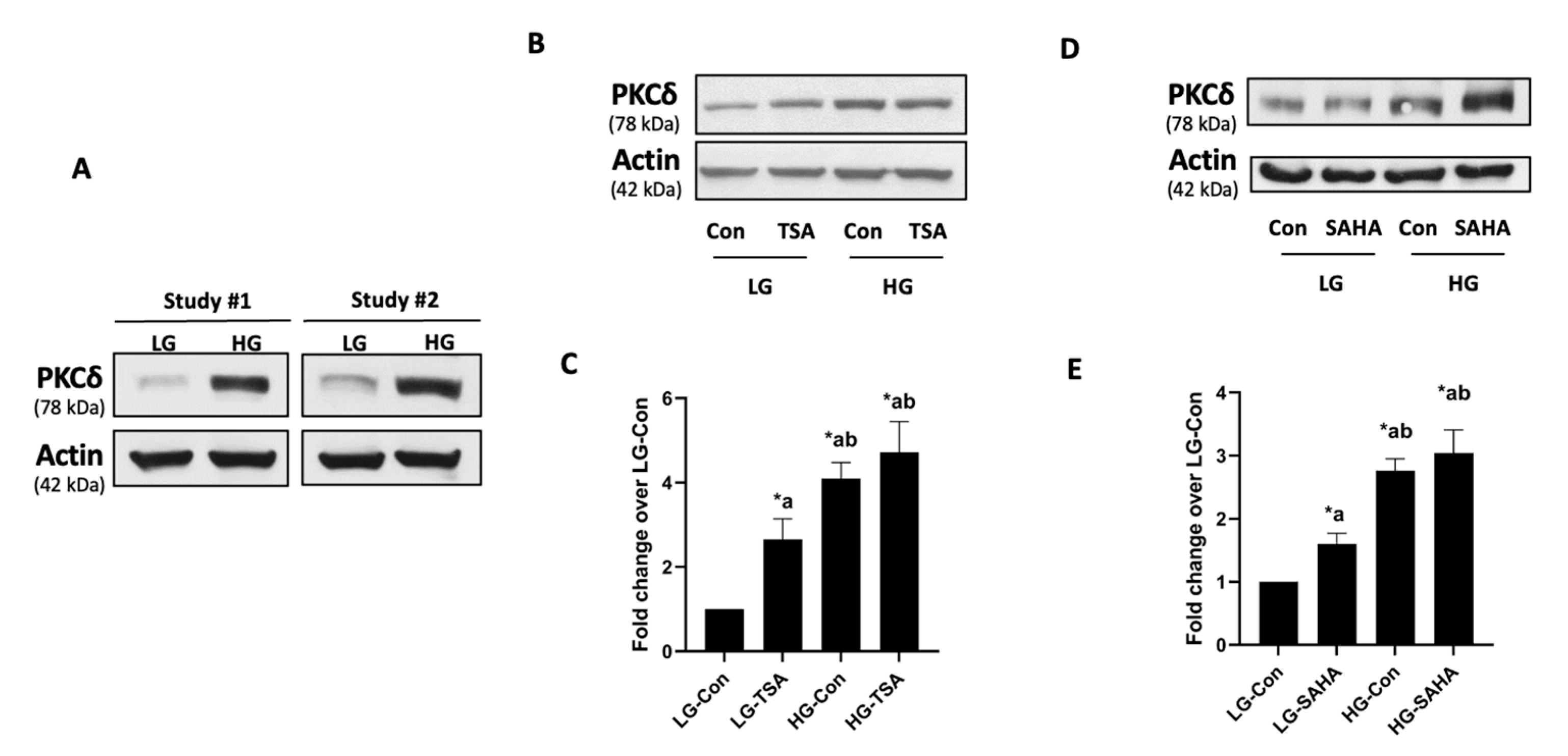 Ijms 24 15994 g002 Ijms 24 15994 g002