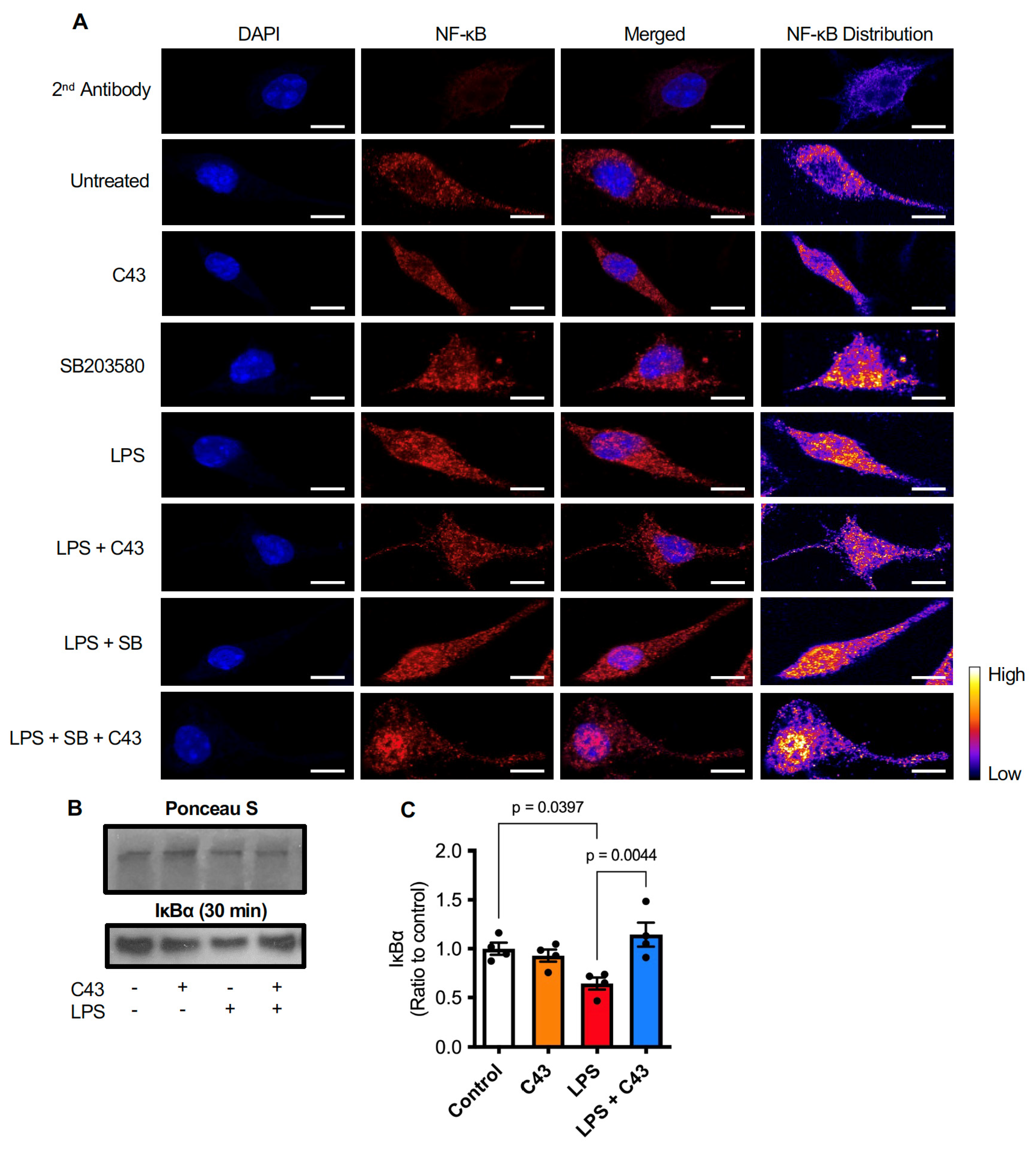 Ijms 24 15996 g007 Ijms 24 15996 g007