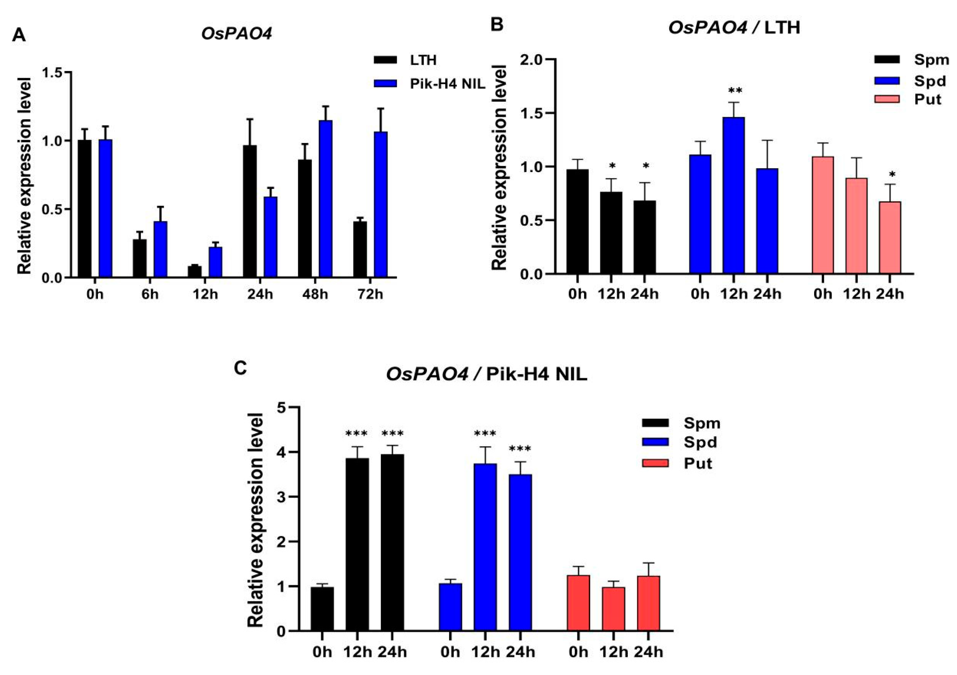 Ijms 24 16052 g004 Ijms 24 16052 g004