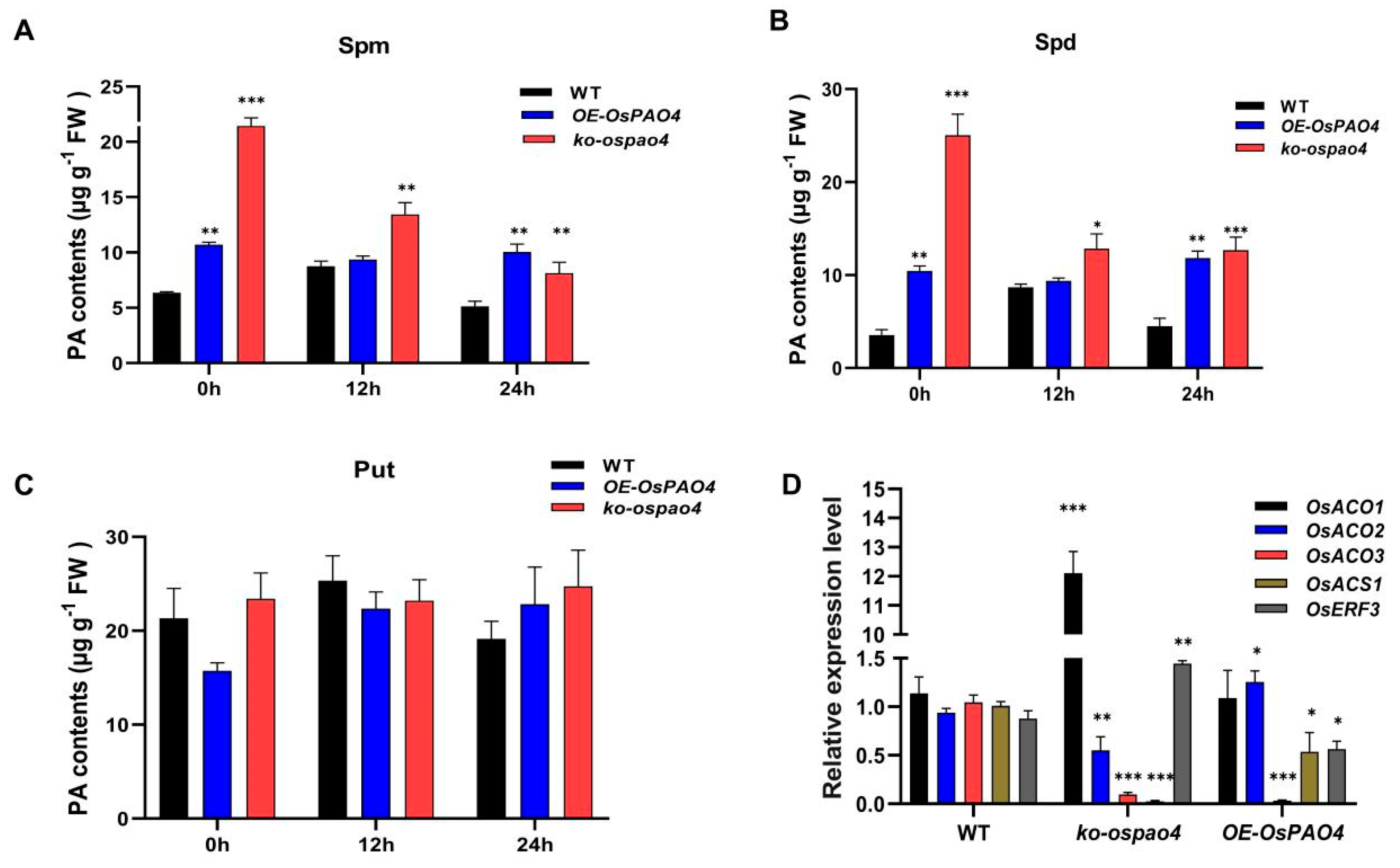 Ijms 24 16052 g007 Ijms 24 16052 g007