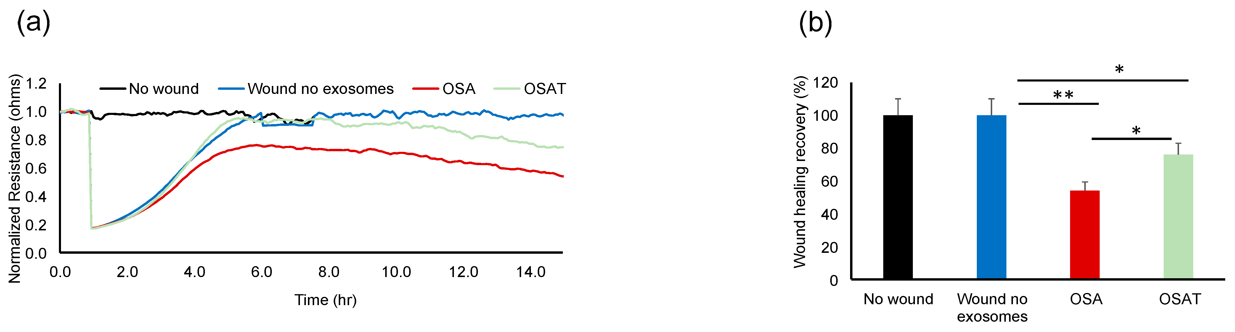 Ijms 24 16074 g002 Ijms 24 16074 g002