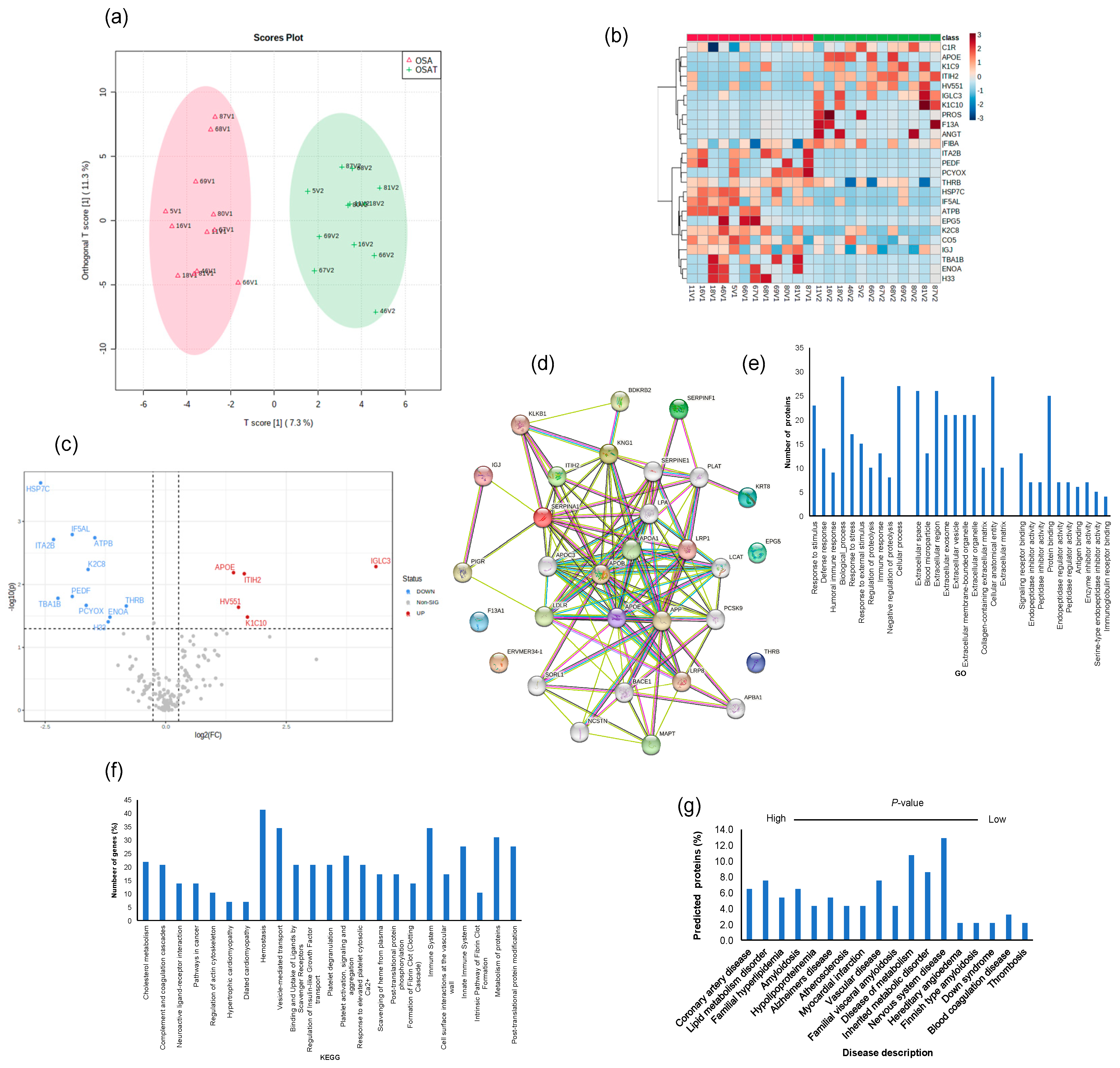 Ijms 24 16074 g005 Ijms 24 16074 g005