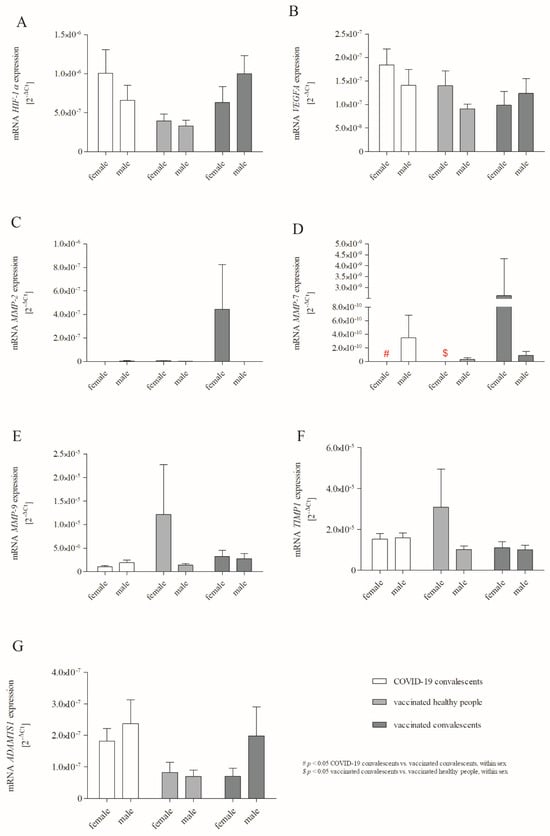 Ijms Free Full Text Effect Of Sars Cov 2 Infection And Bnt162b2