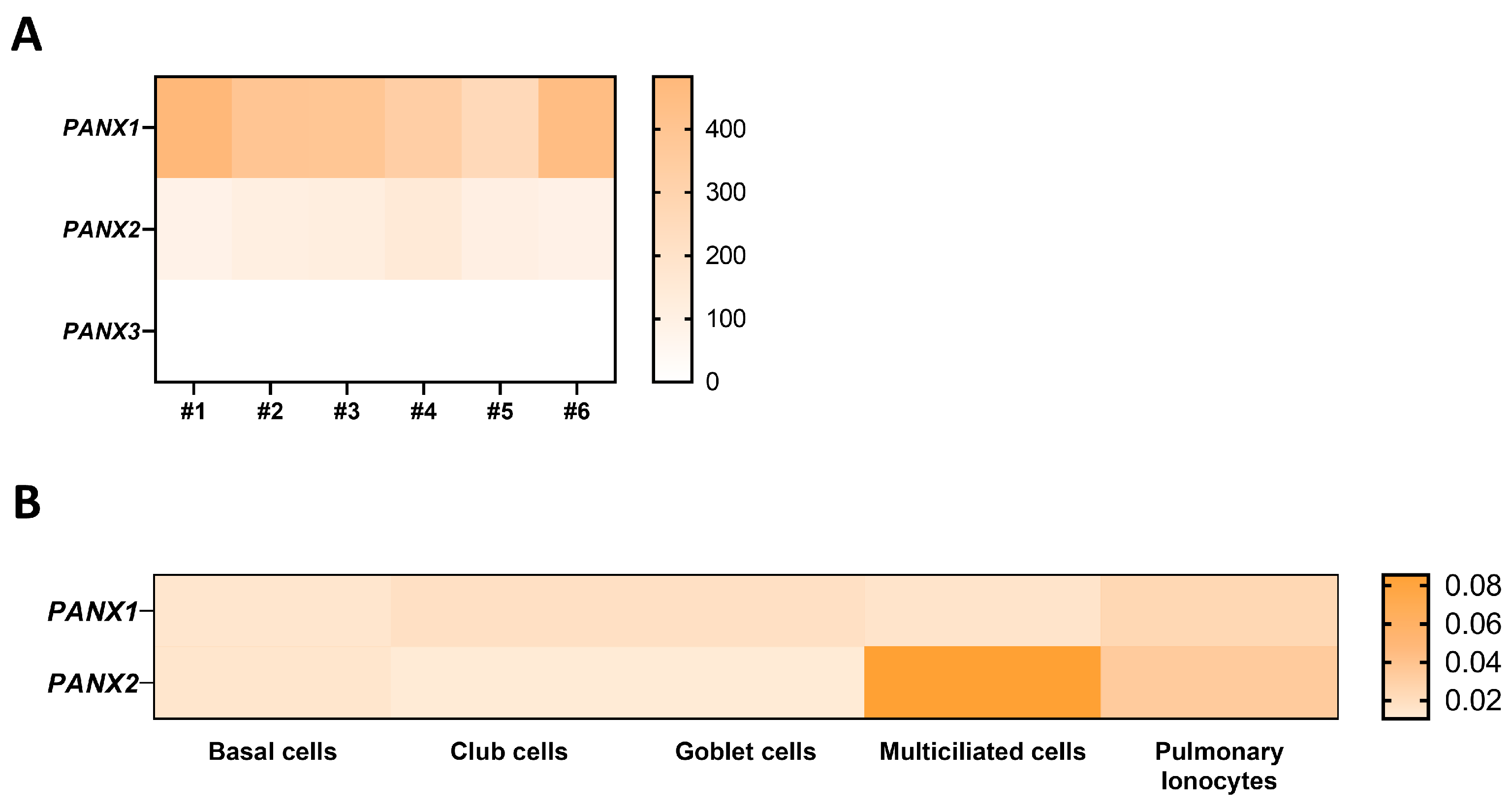 Ijms 24 16160 g002 Ijms 24 16160 g002