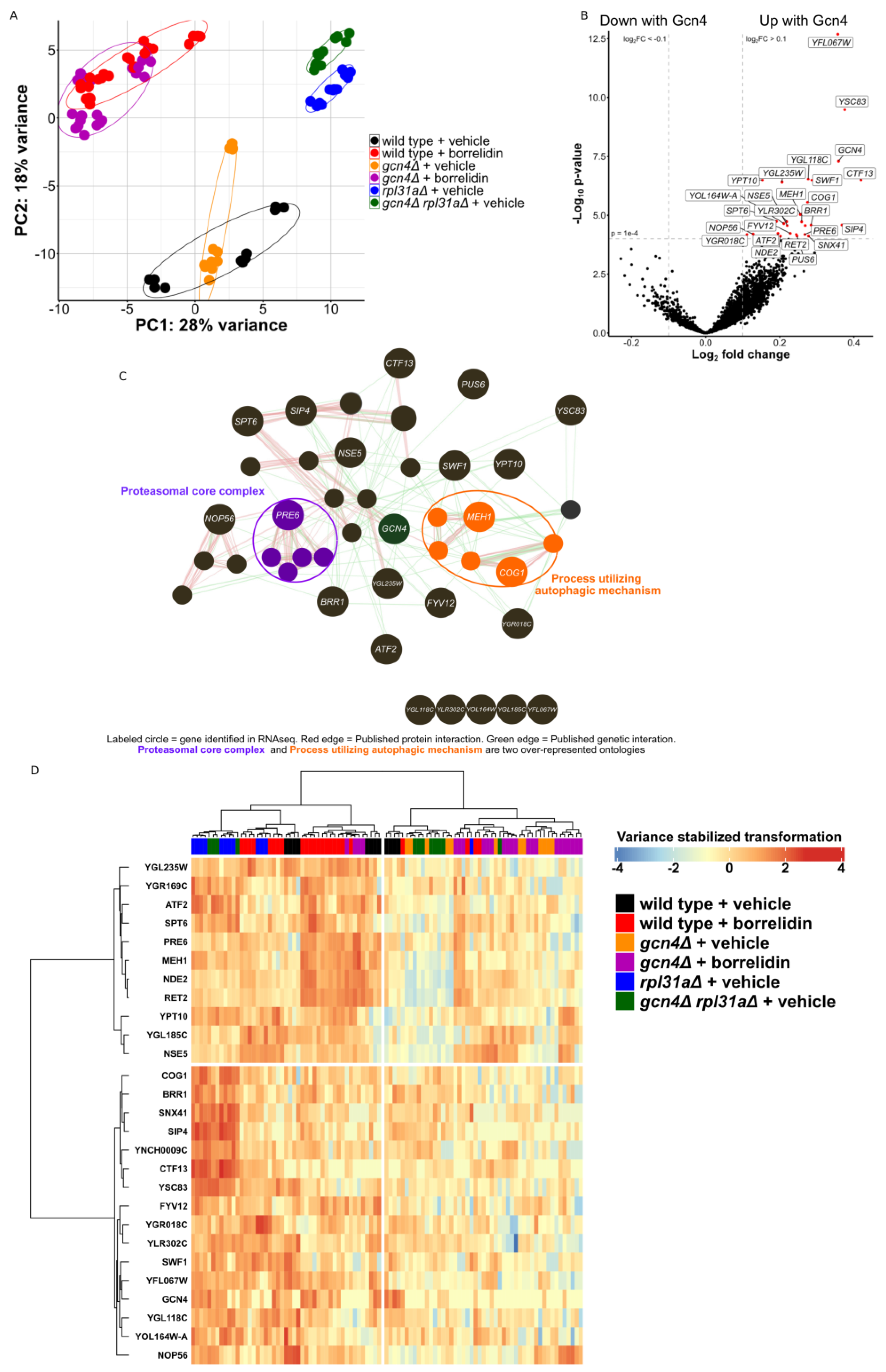 Ijms 24 16163 g003 Ijms 24 16163 g003