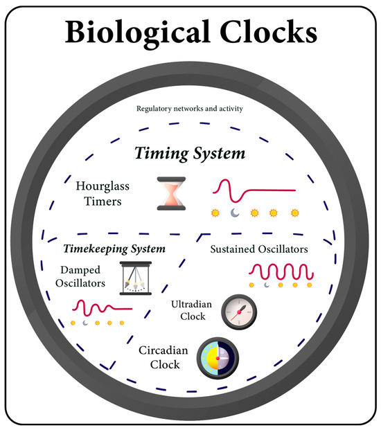 Time Timer on LinkedIn: Discover how Time Timer visual timers are breaking  barriers to support the…