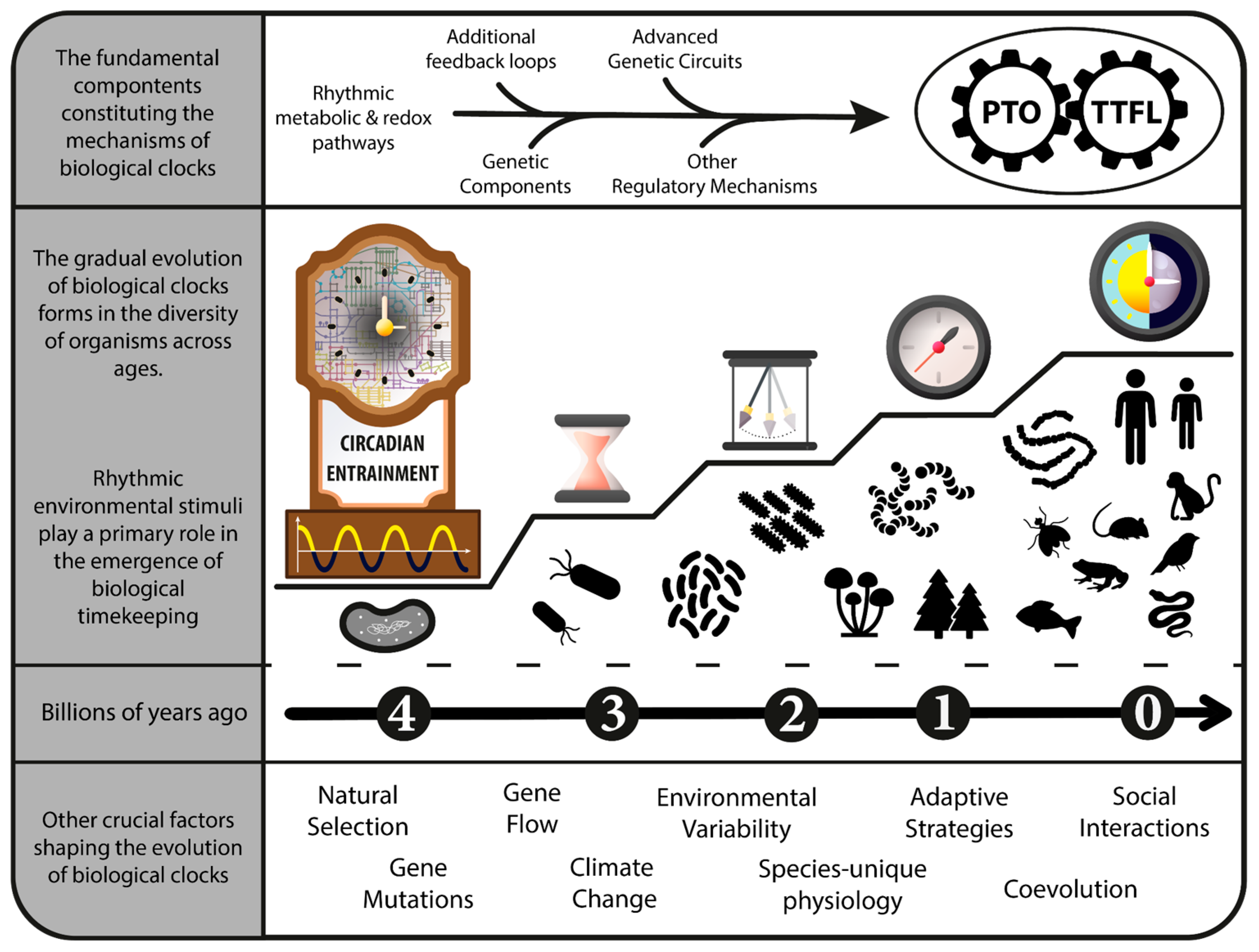 Ijms 24 16169 g005 Ijms 24 16169 g005