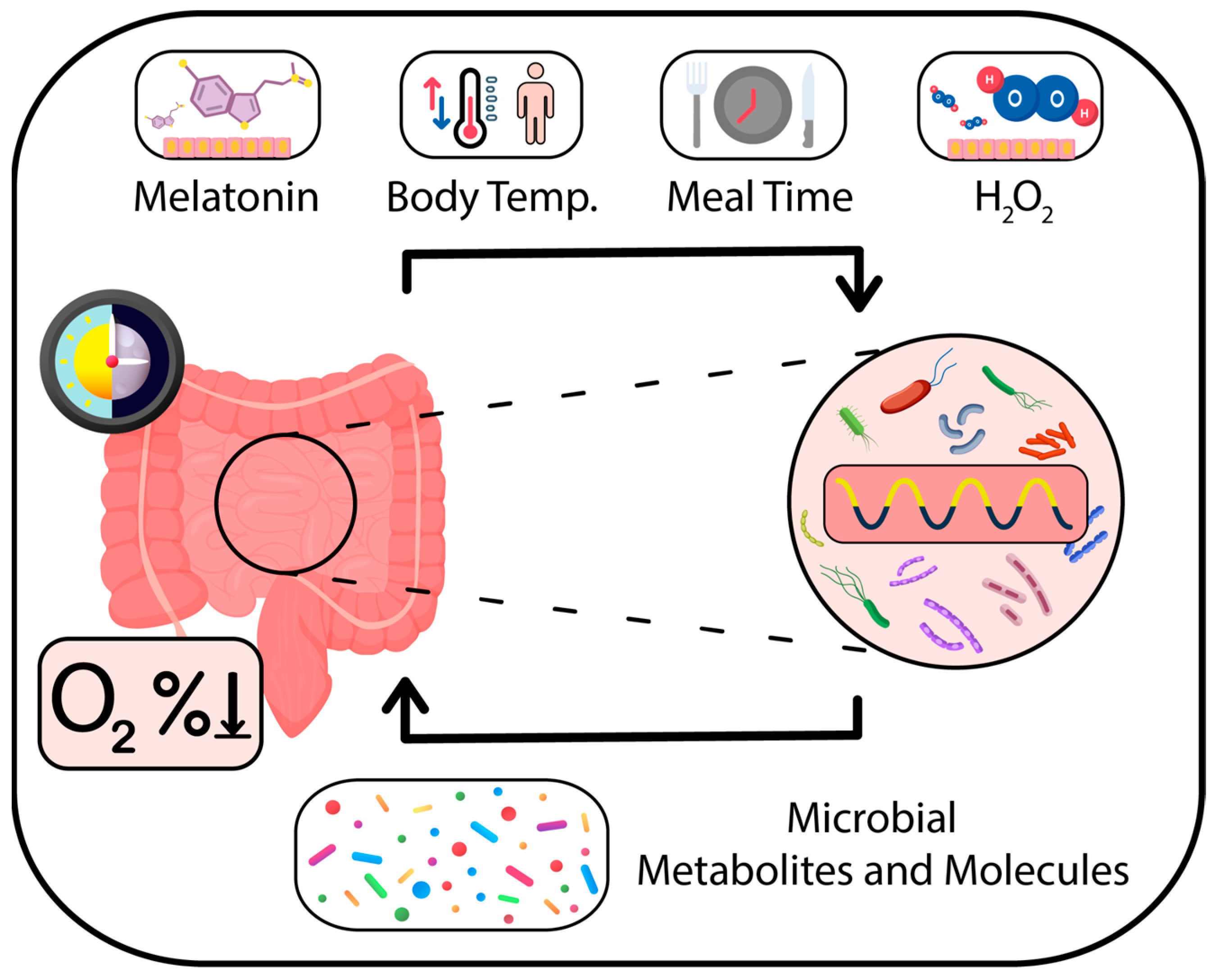 Ijms 24 16169 g006 Ijms 24 16169 g006