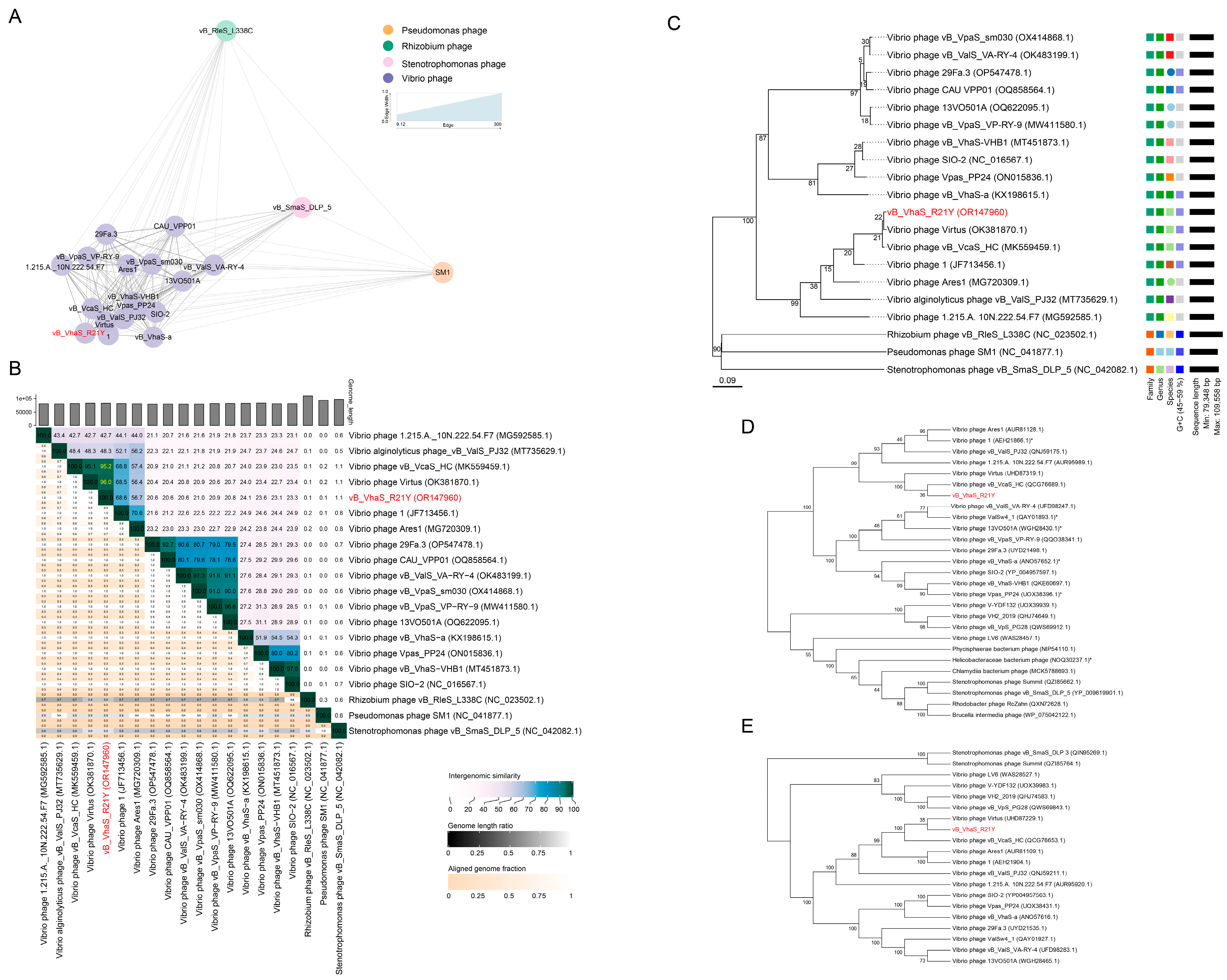 Ijms 24 16202 g003 Ijms 24 16202 g003