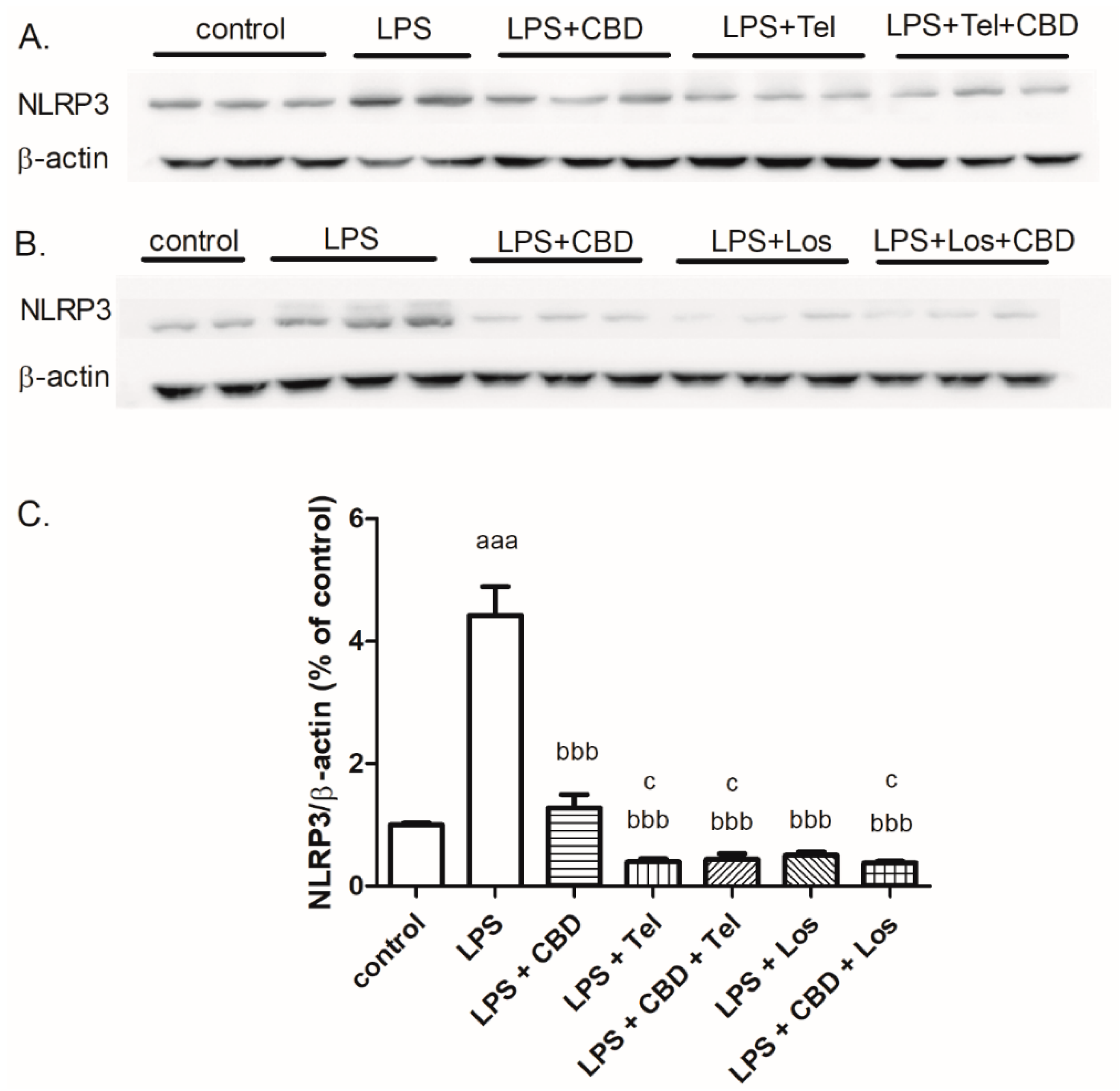 Ijms 24 16254 g005 Ijms 24 16254 g005