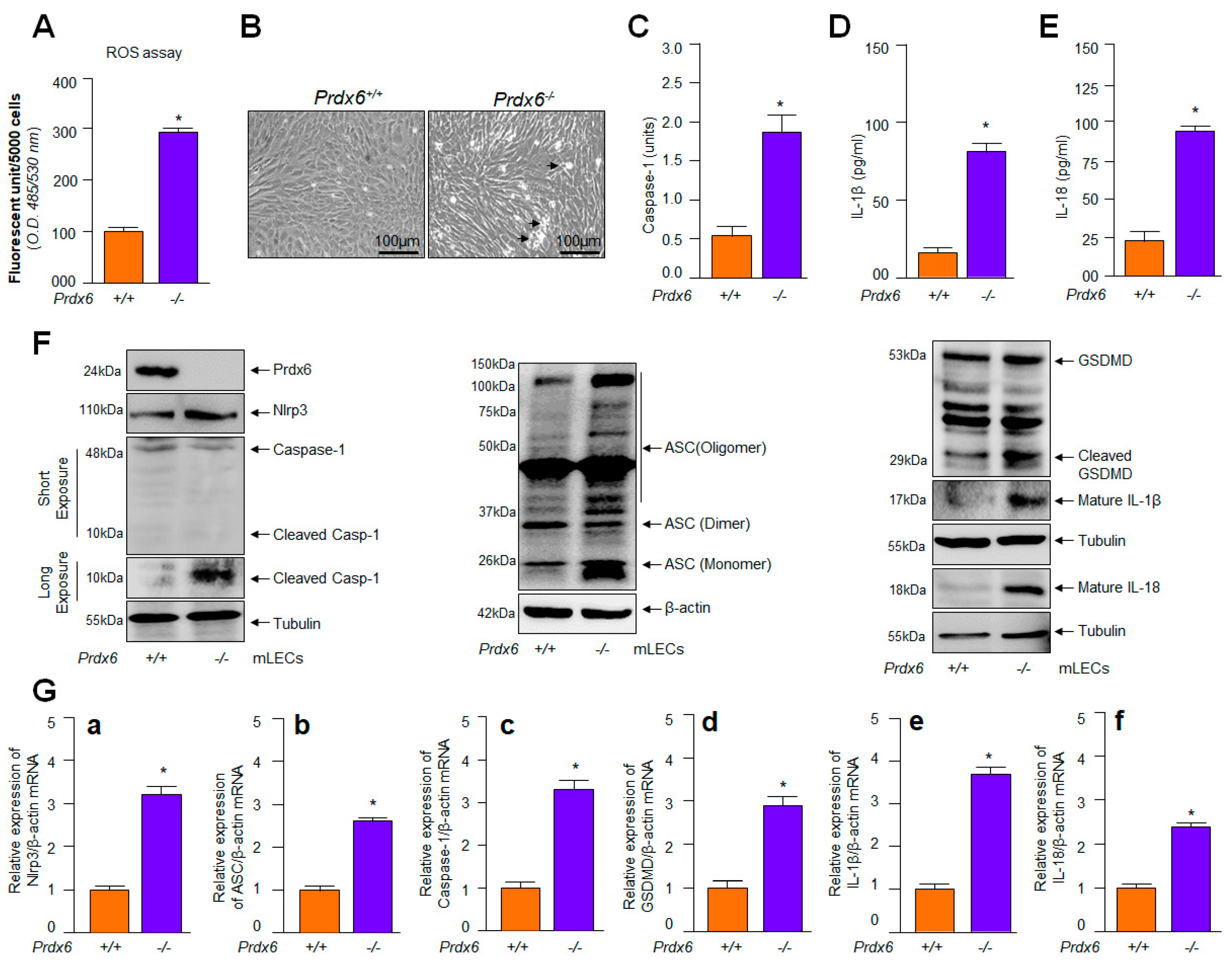 Breakthrough Discoveries in Human Immunology ePanel