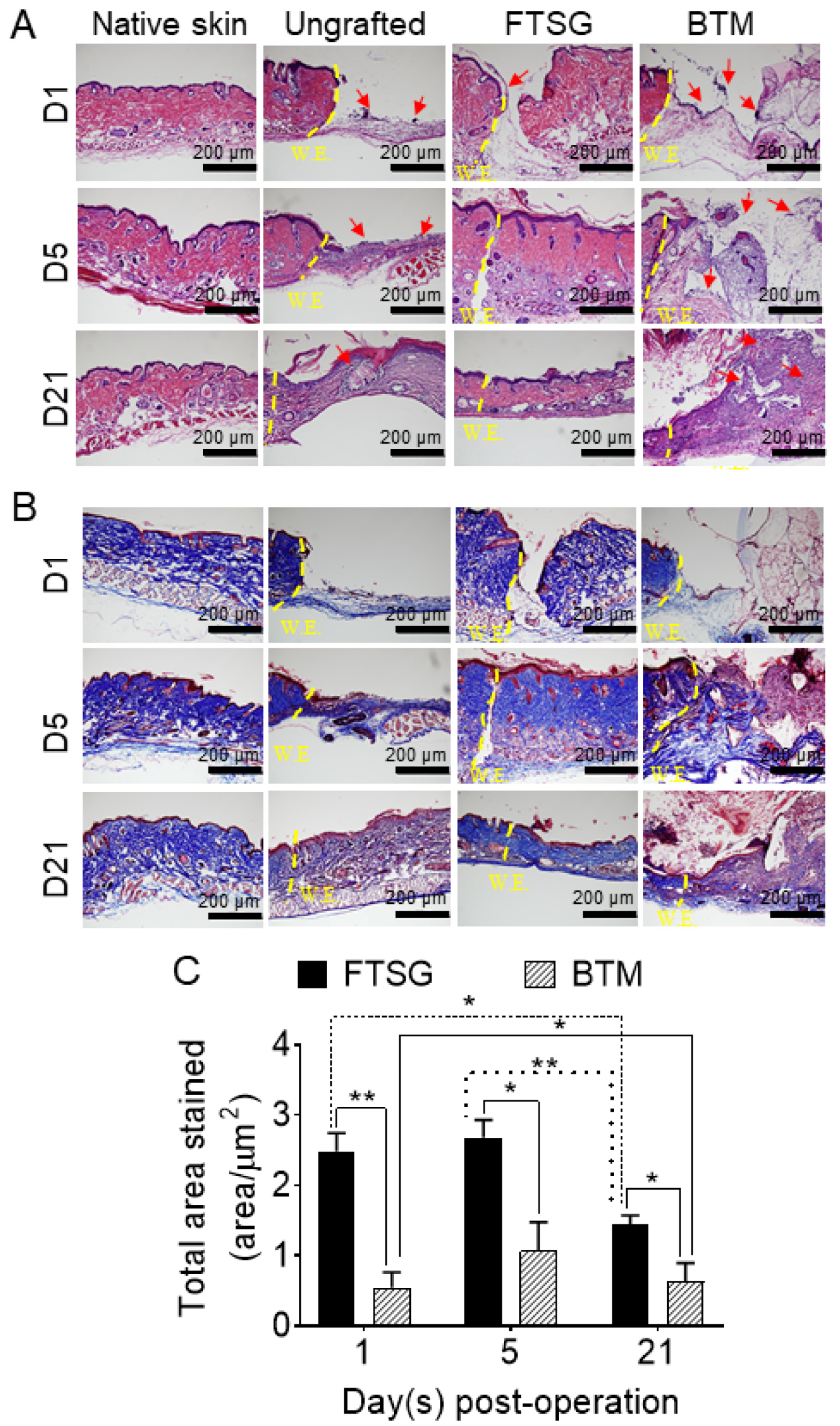 Ijms 24 16277 g003