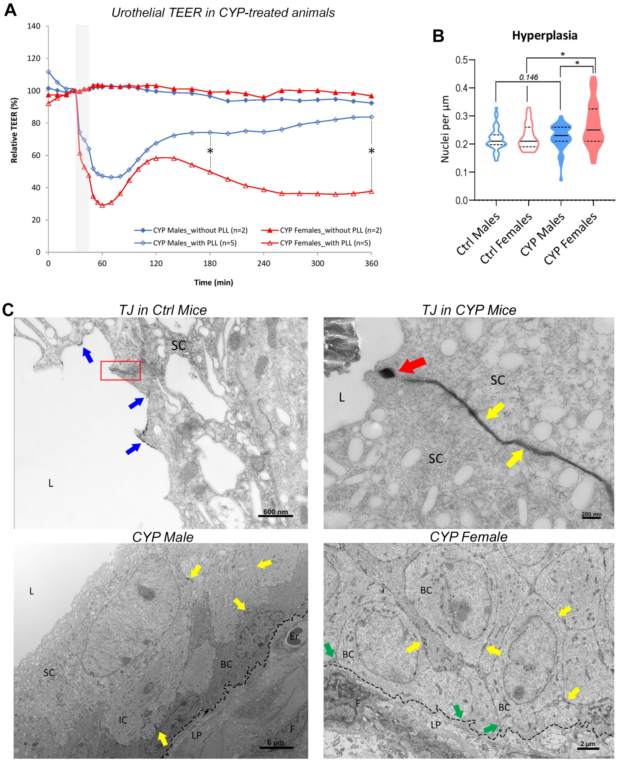 Ijms 24 16296 g002 Ijms 24 16296 g002