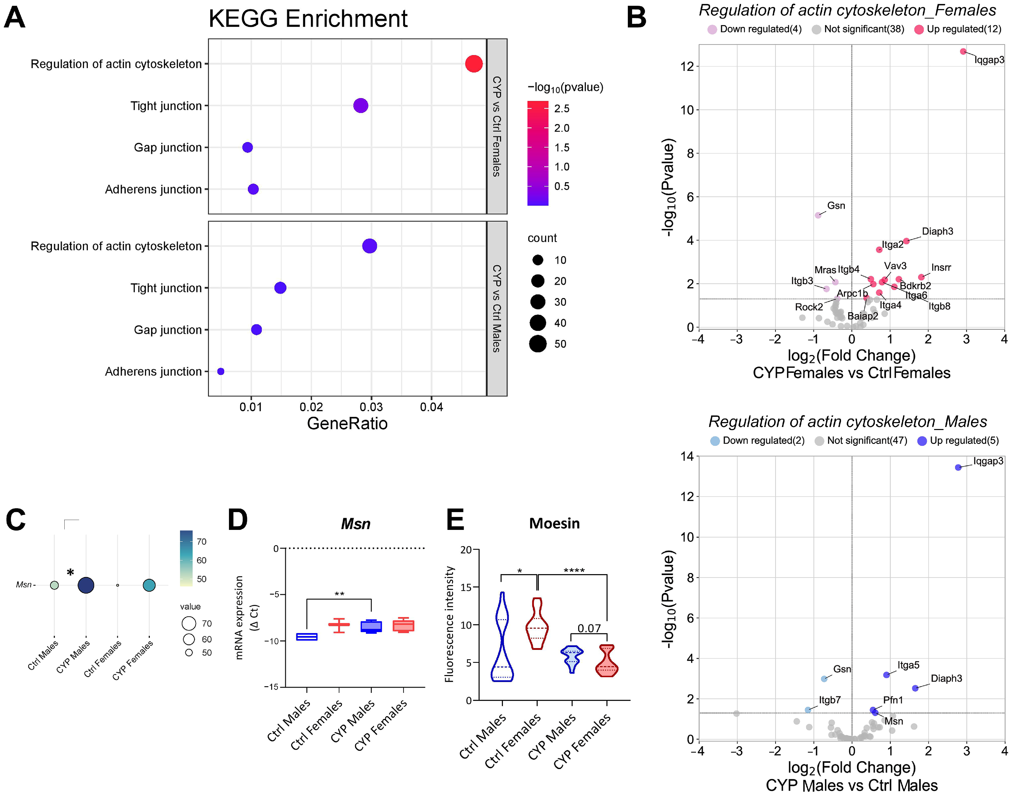 Ijms 24 16296 g003 Ijms 24 16296 g003