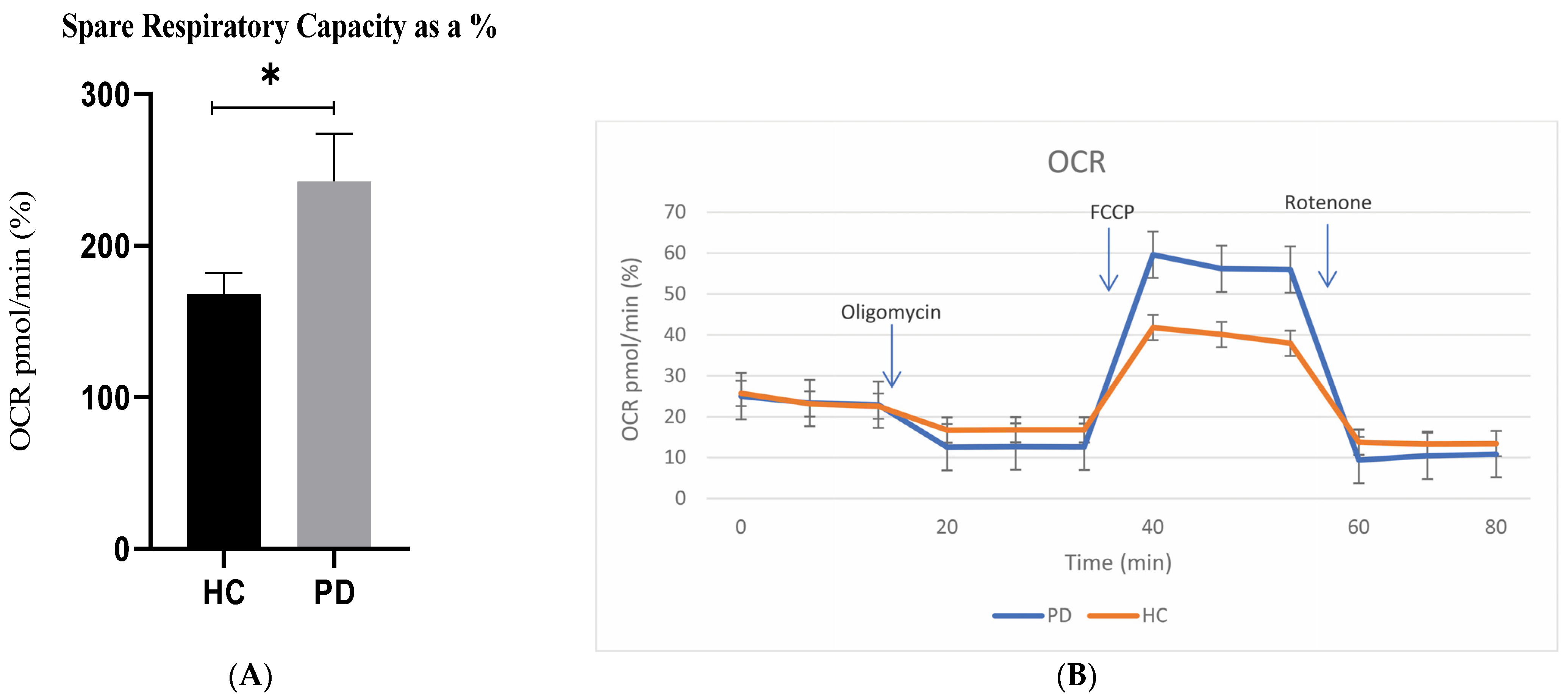 Ijms 24 16297 g001 Ijms 24 16297 g001