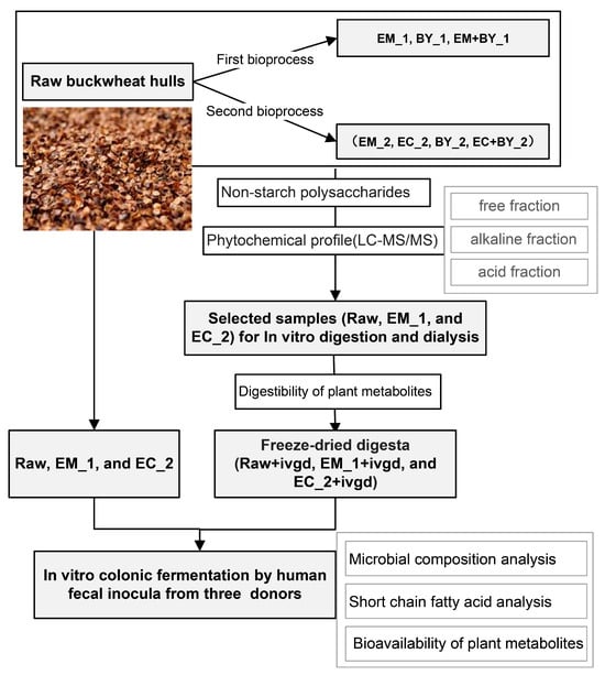 Nutritional composition of the flour of the thirty nine buckwheat cultivars