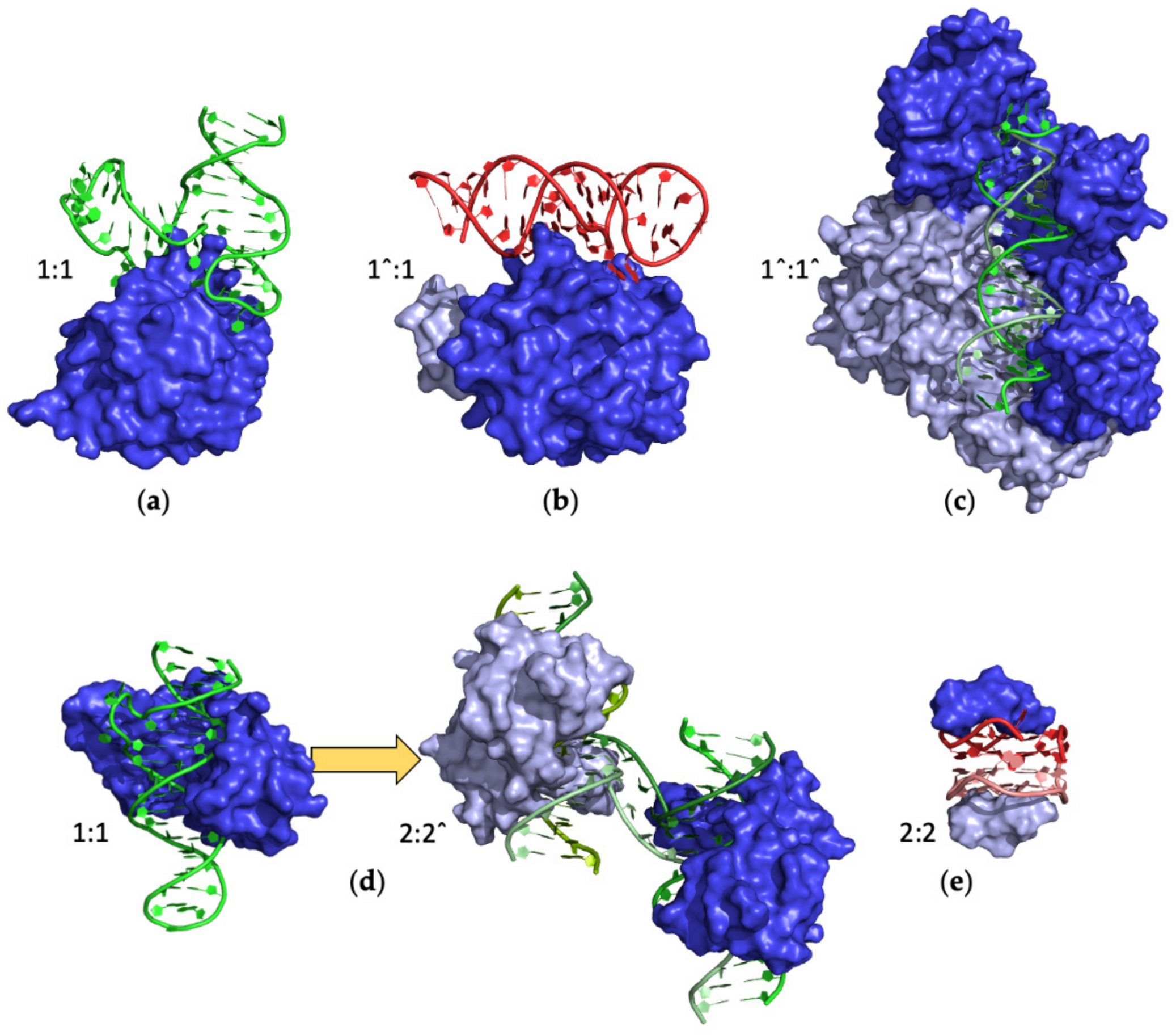 Ijms 24 16318 g005 Ijms 24 16318 g005