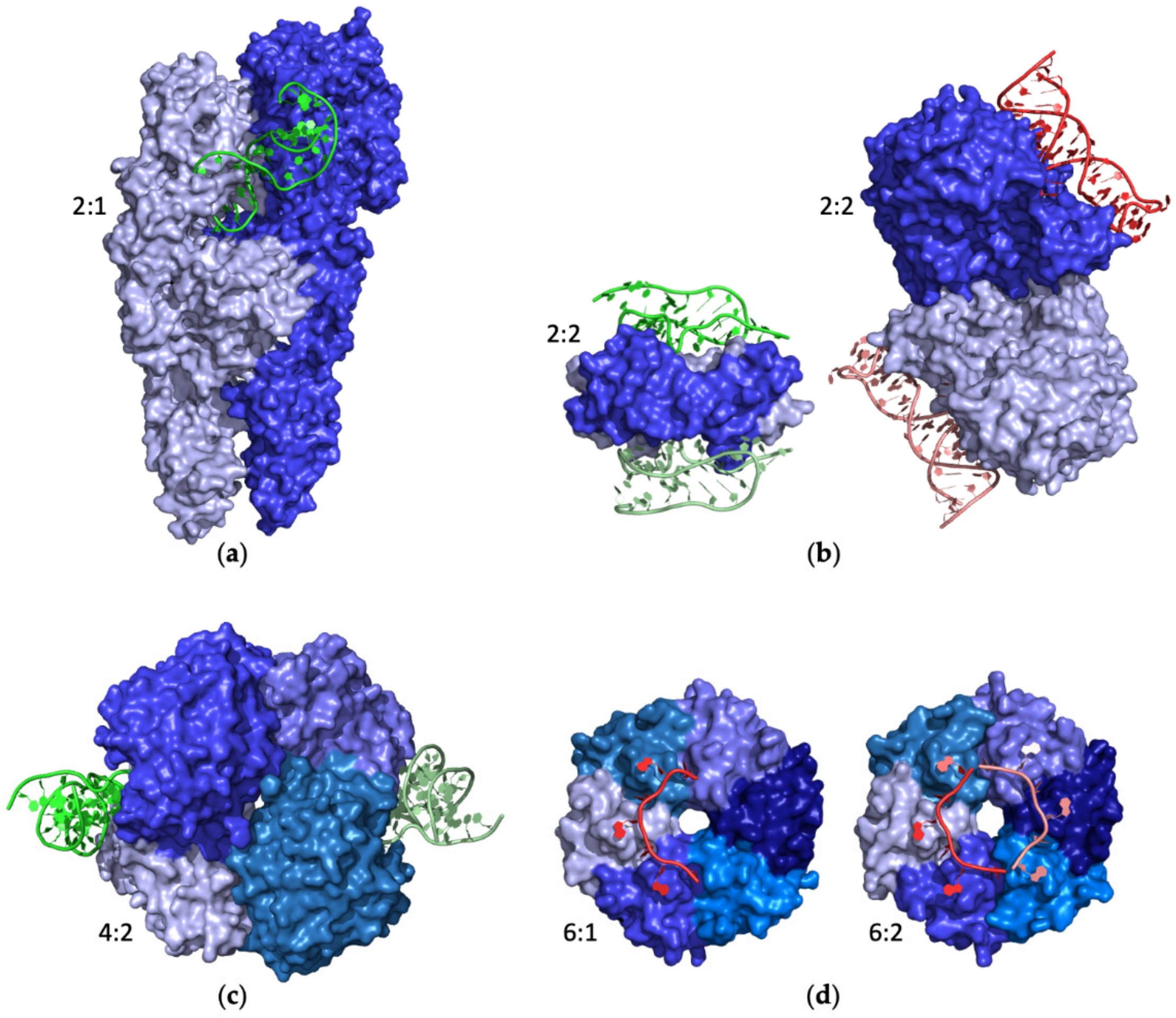 Ijms 24 16318 g007 Ijms 24 16318 g007