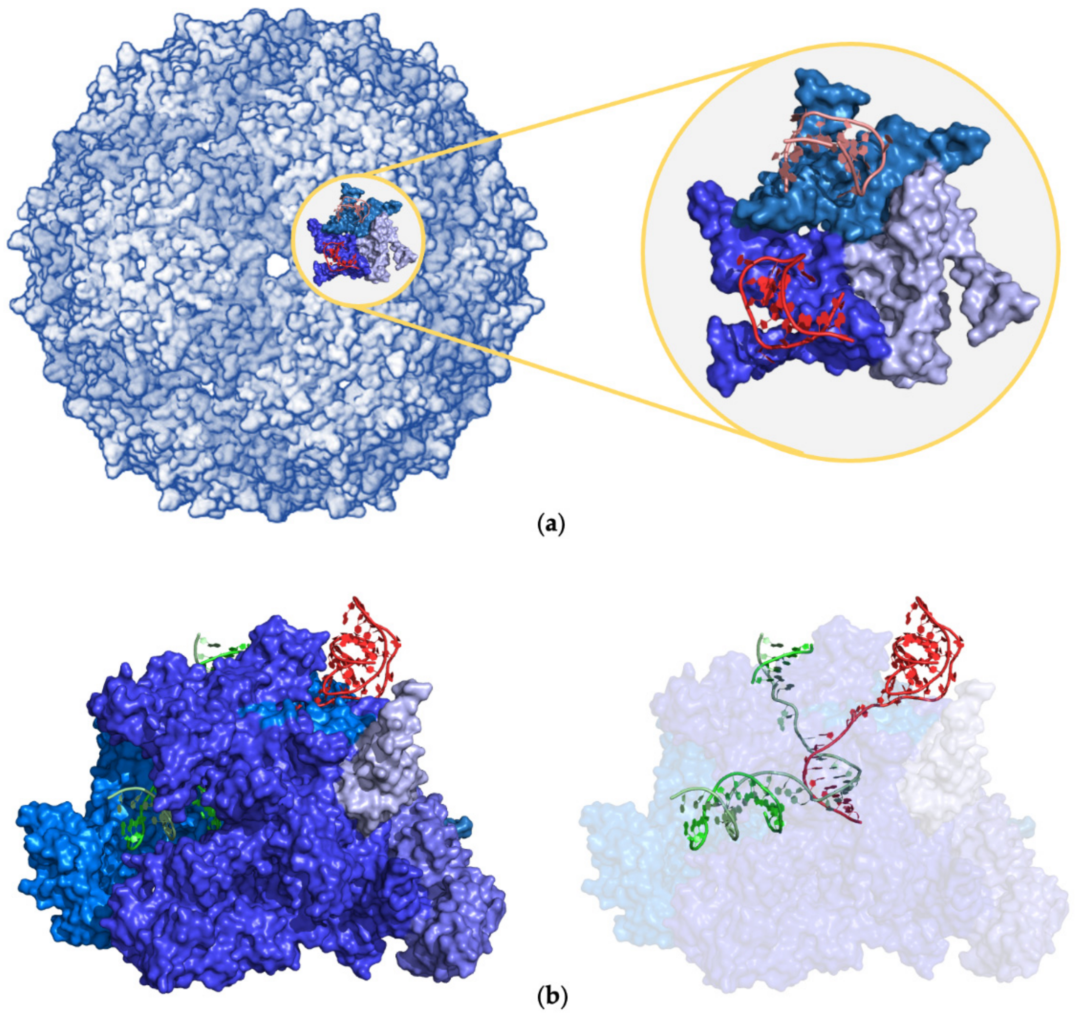 Ijms 24 16318 g008 Ijms 24 16318 g008