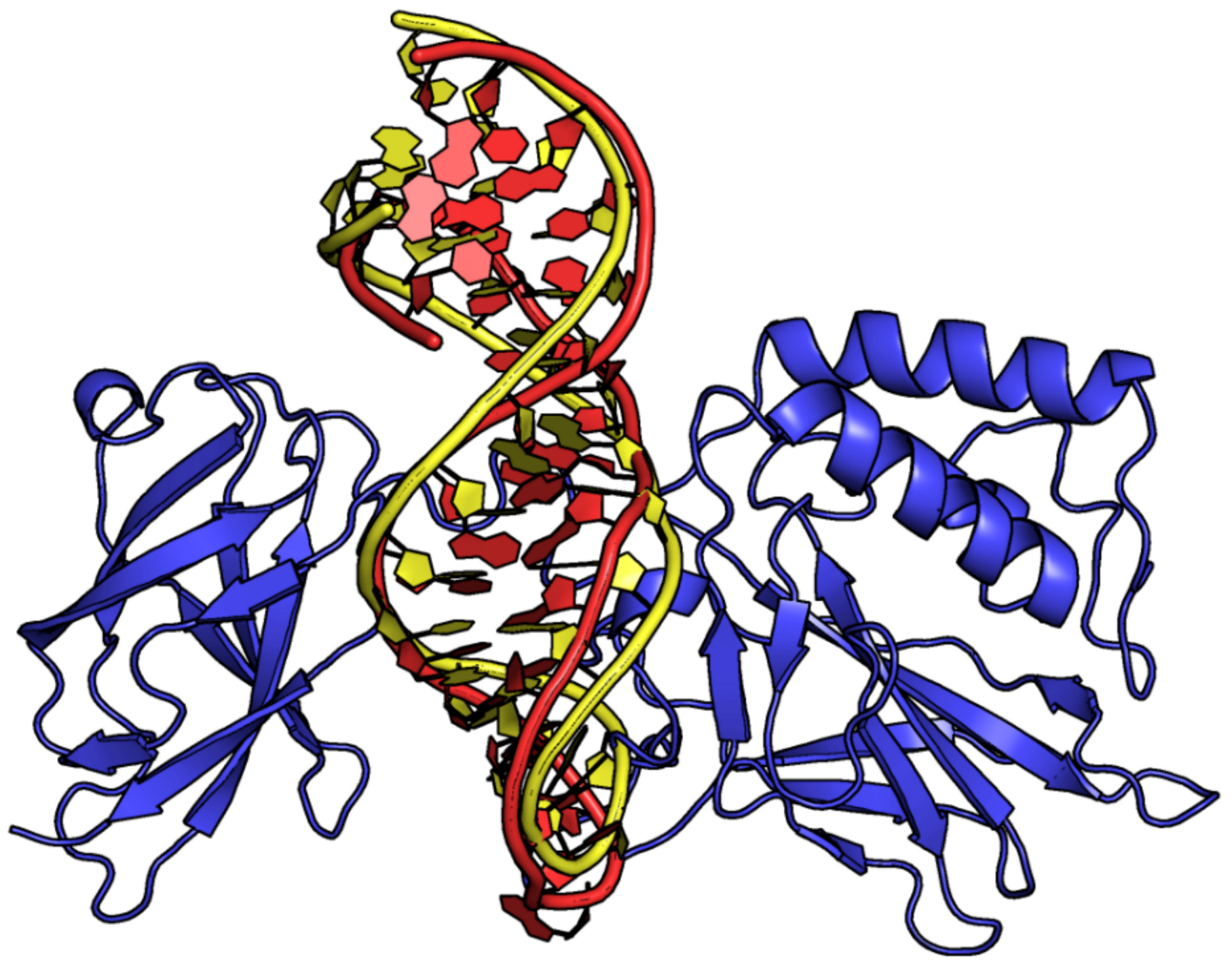 Ijms 24 16318 g010 Ijms 24 16318 g010