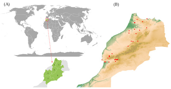 https://www.mdpi.com/ijms/ijms-24-16350/article_deploy/html/images/ijms-24-16350-g012-550.jpg