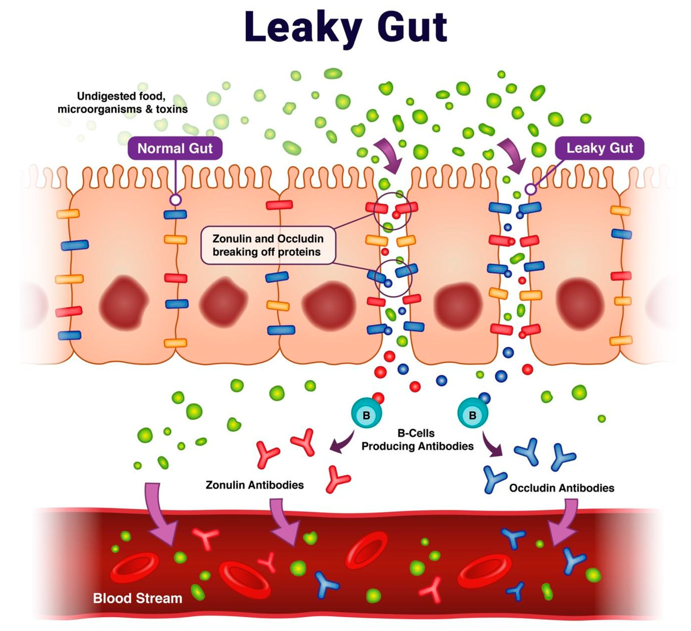 Ijms 24 16352 g001 Ijms 24 16352 g001