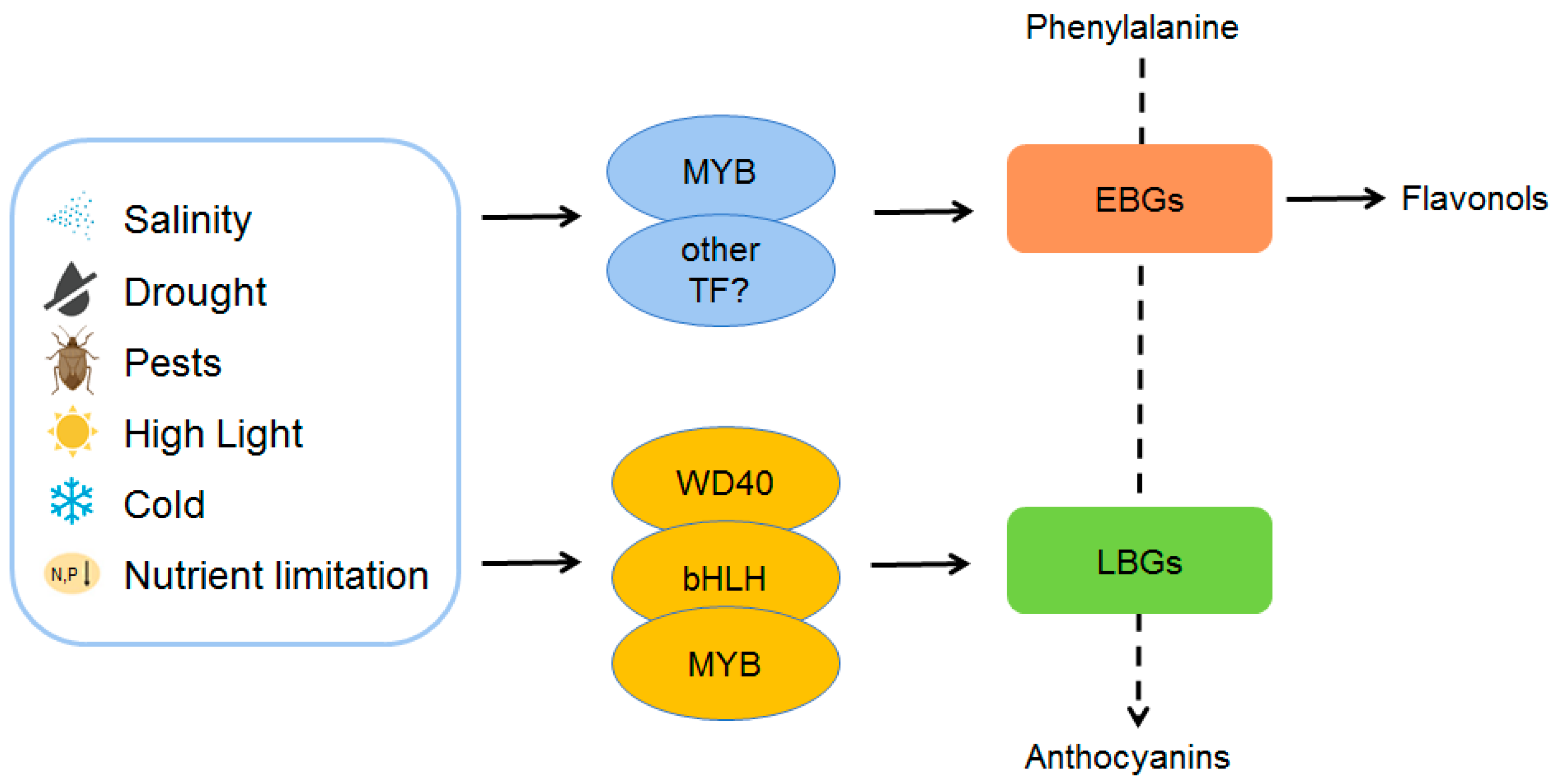 Ijms 24 16415 g002 Ijms 24 16415 g002